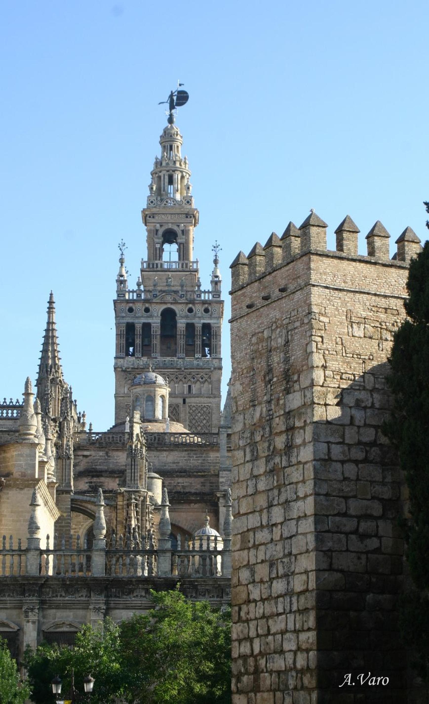 Hotel Doña Lina — 22