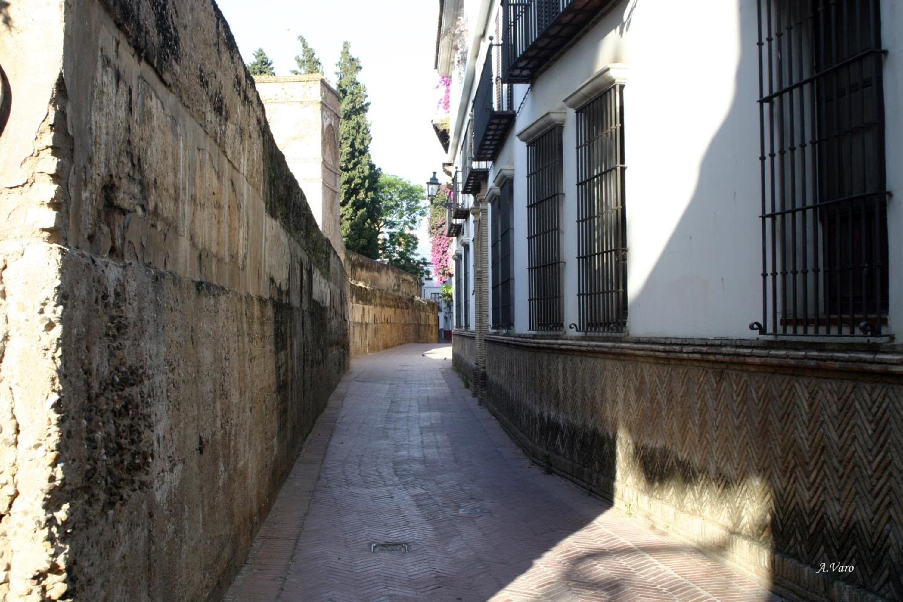 Hotel Doña Lina — 15