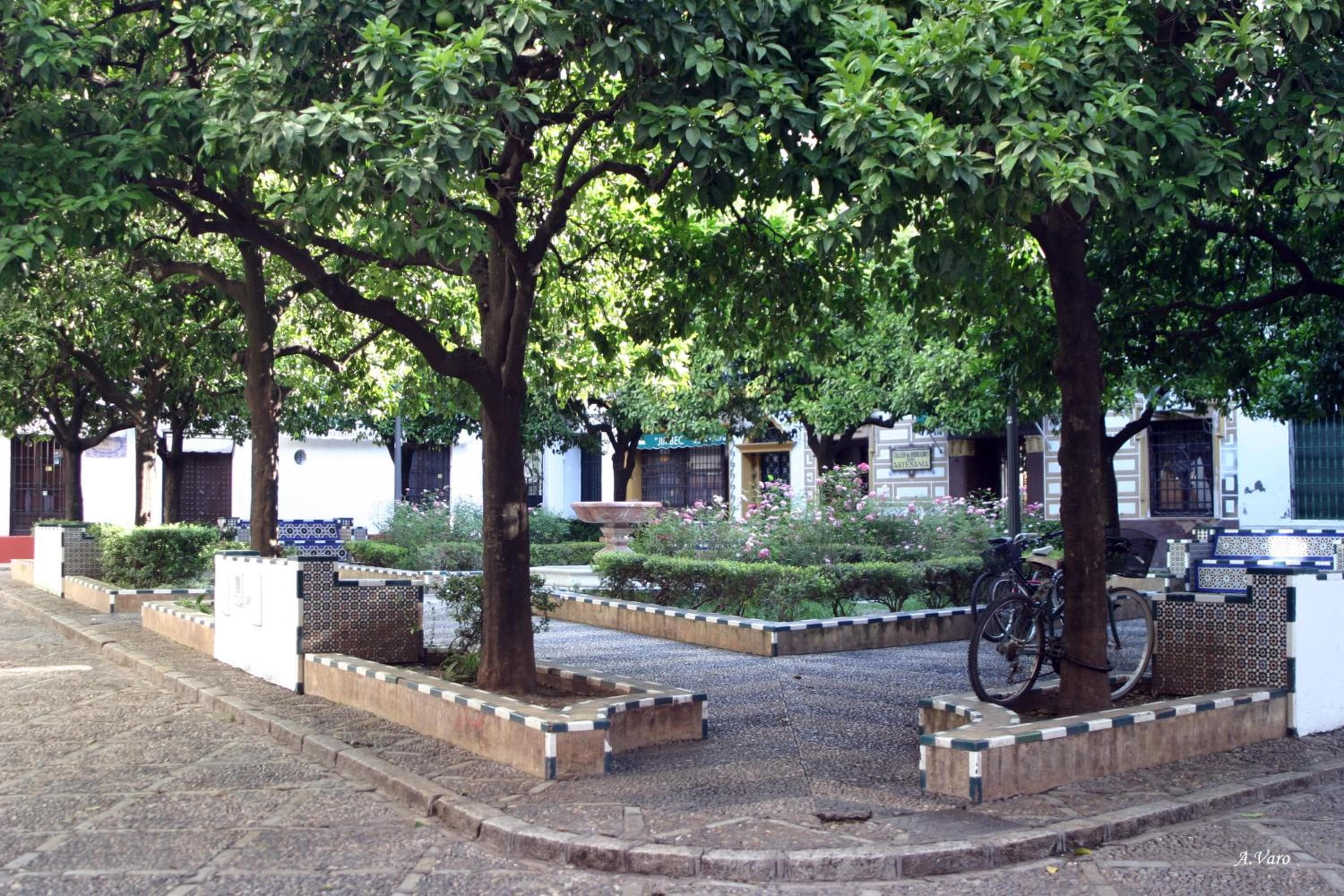 Hotel Doña Lina — 23