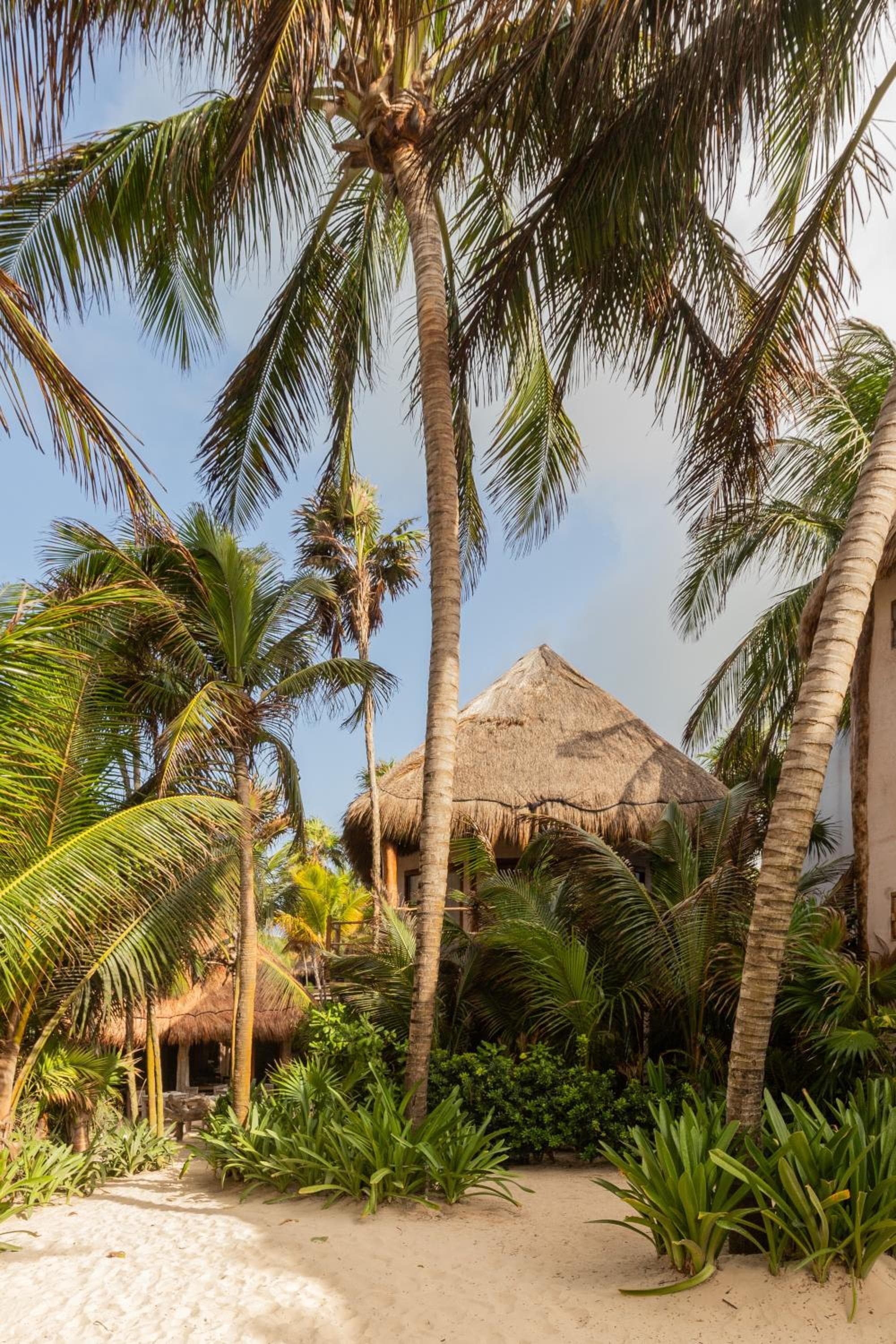 Encantada Tulum hotel, Km 8.7 Carretera Tulum Boca Paila, Mexico — photo 108