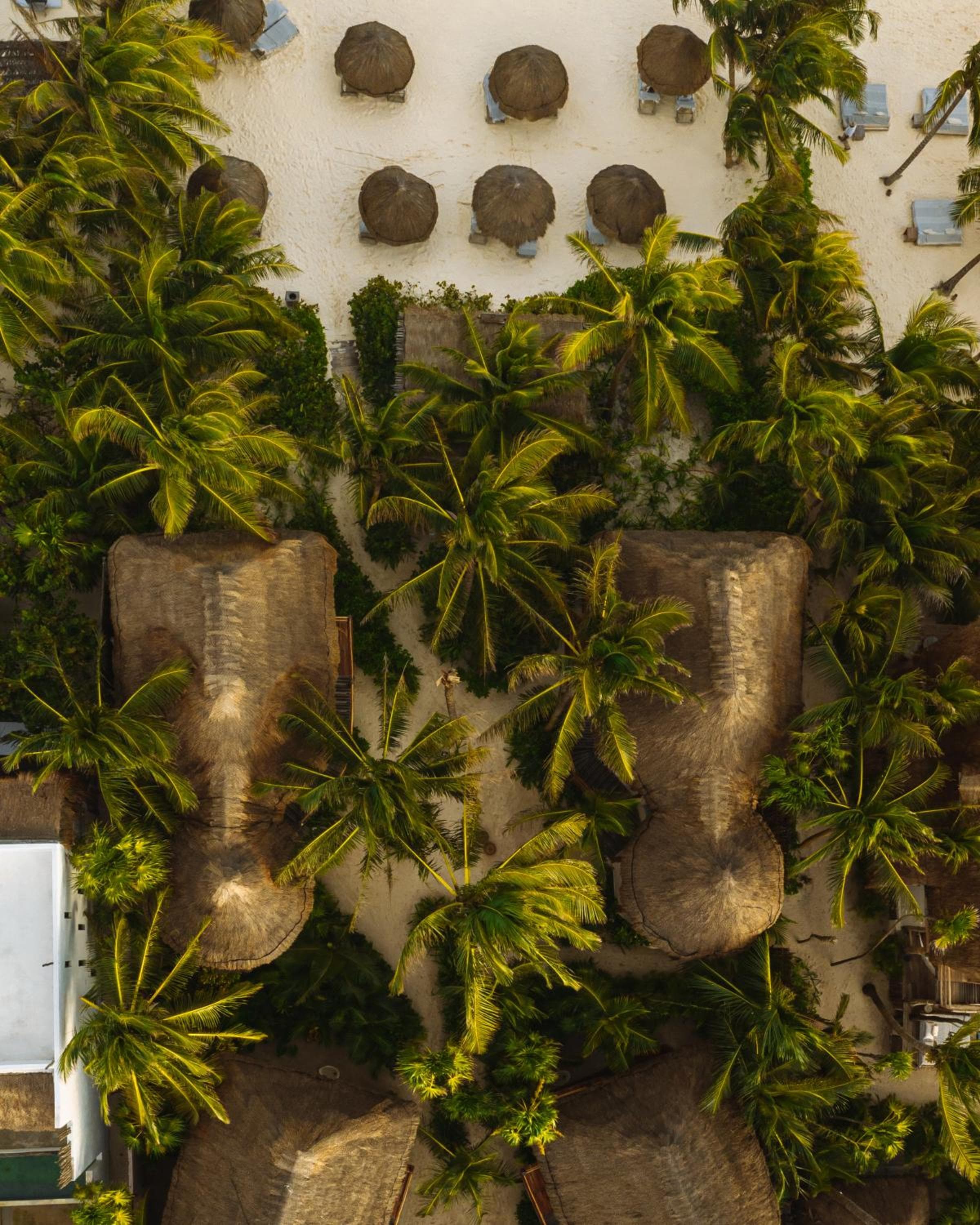 Encantada Tulum hotel, Km 8.7 Carretera Tulum Boca Paila, Mexico — photo 115