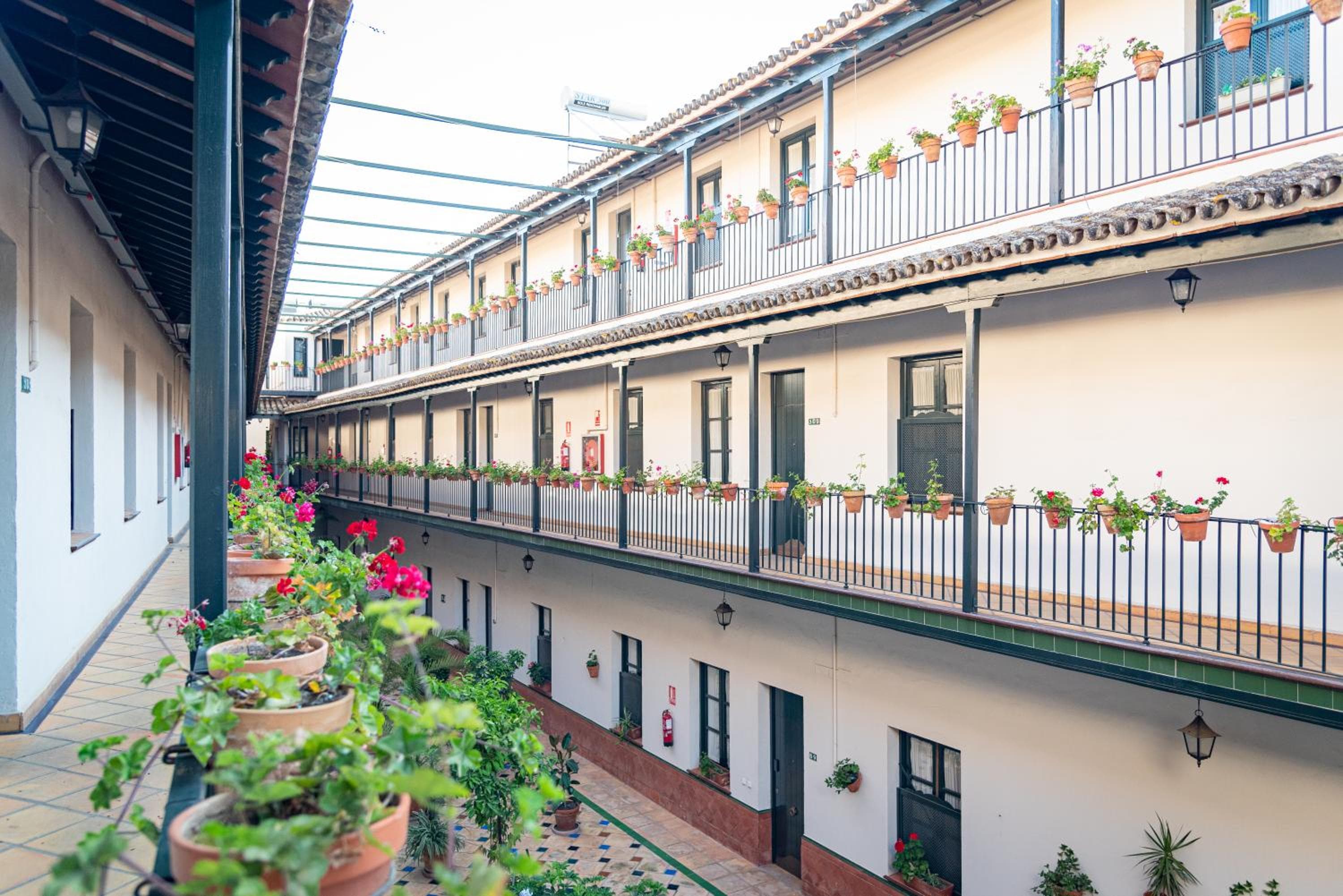 Hoteles del Sur — 7