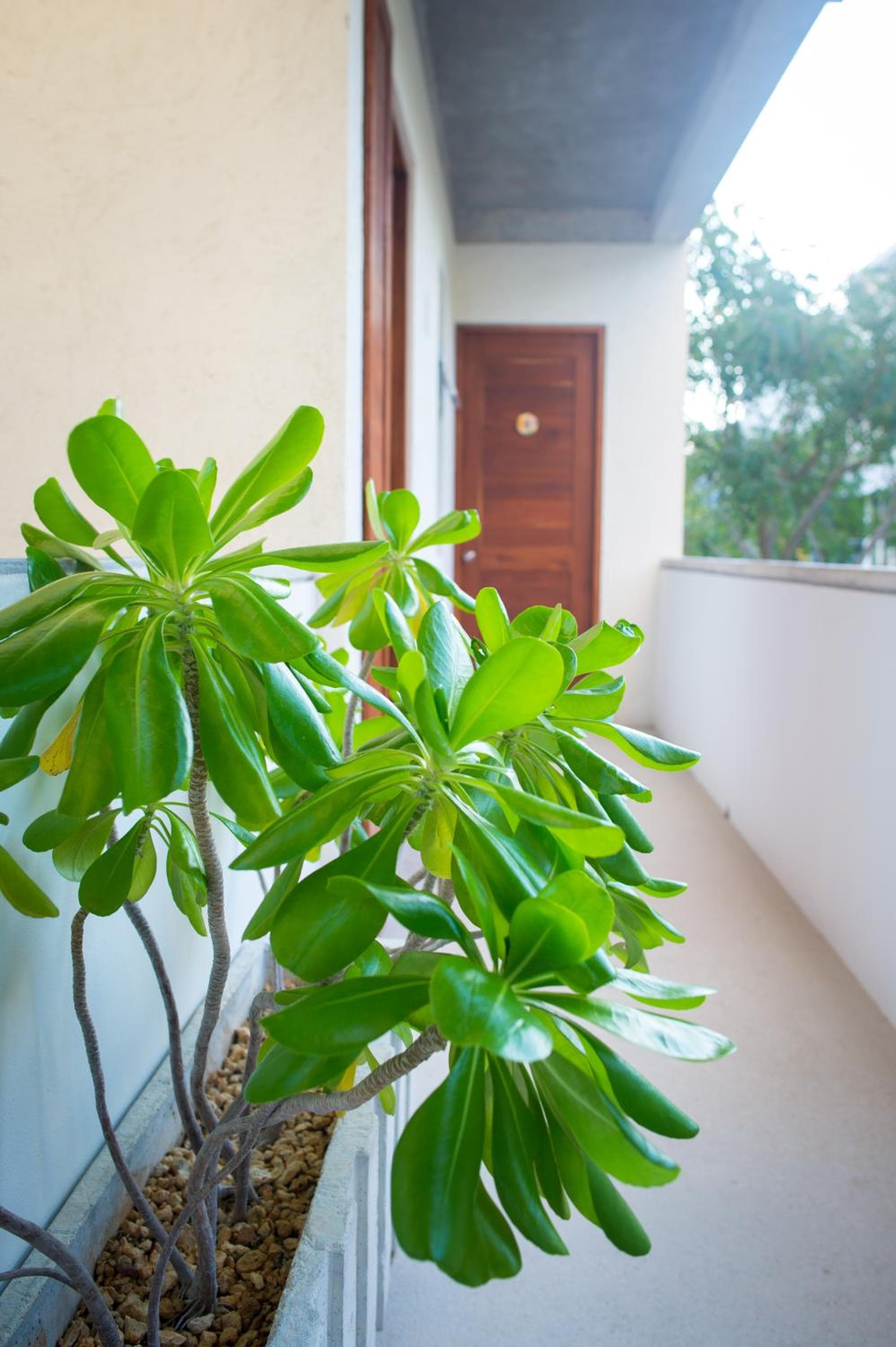 Suites Cielo y Mar — 27