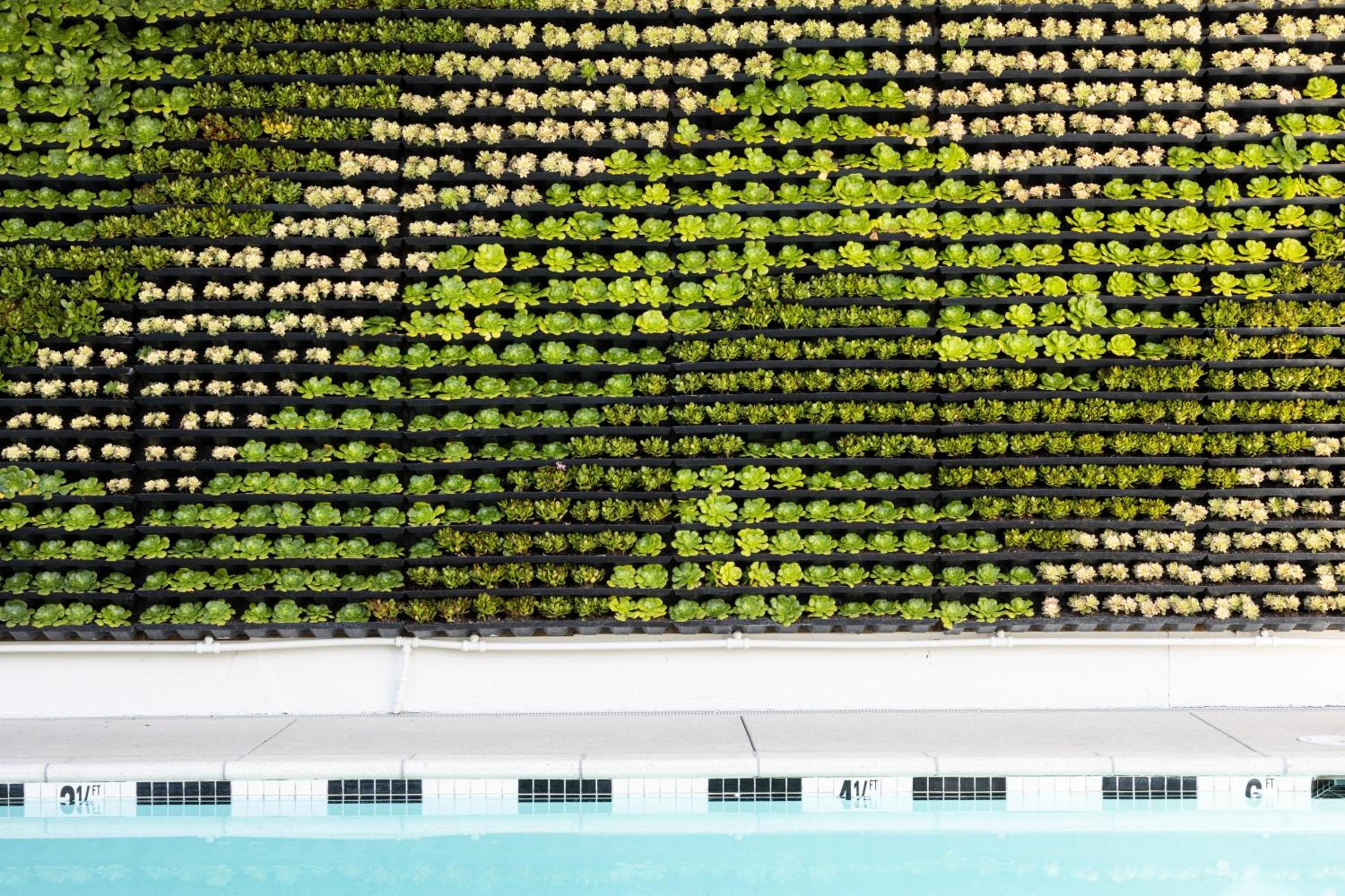 Short Stories Hotel Near The Grove — 10