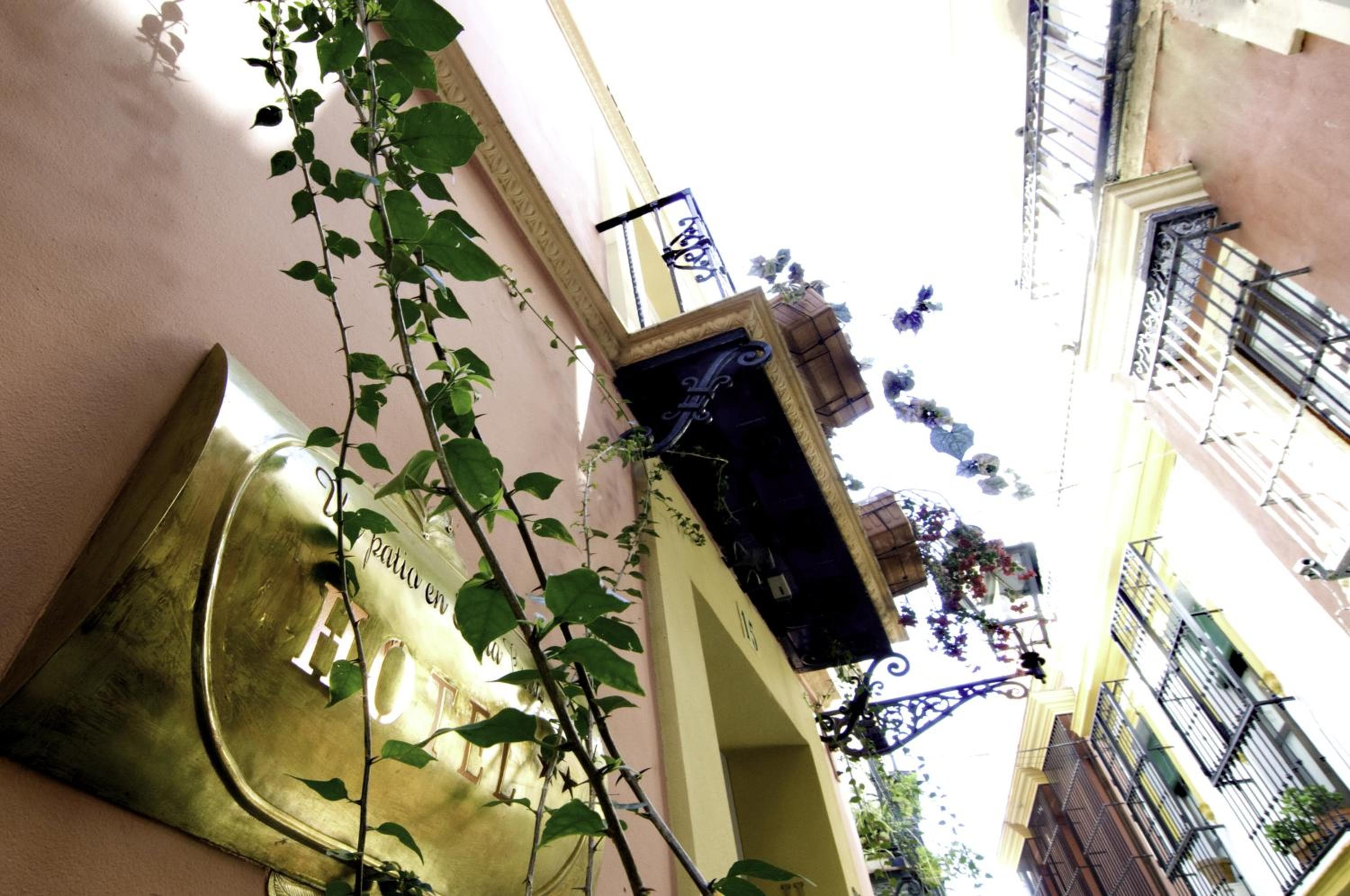 Un Patio en Santa Cruz — 18