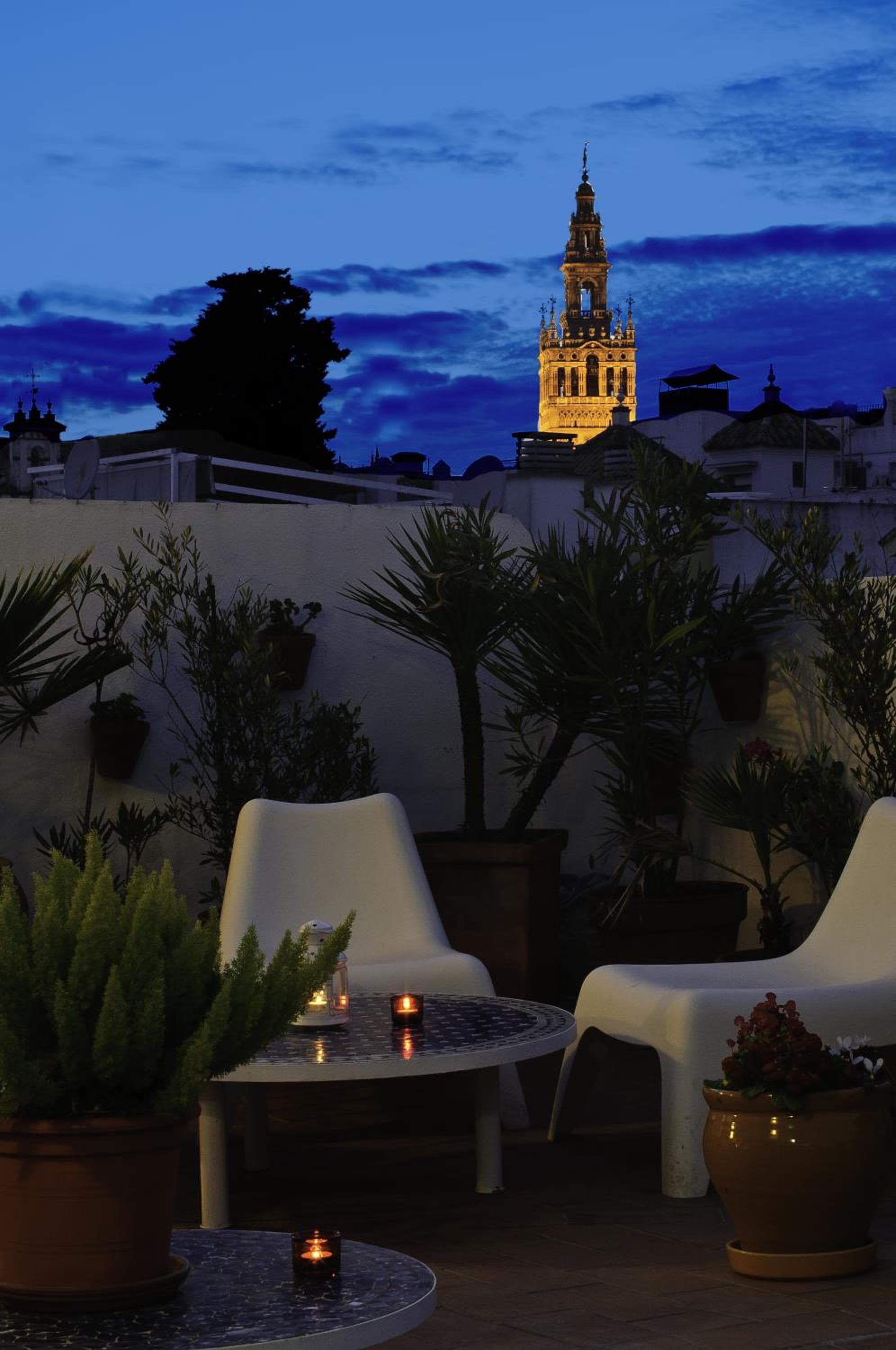 Un patio a Santa Cruz — 1