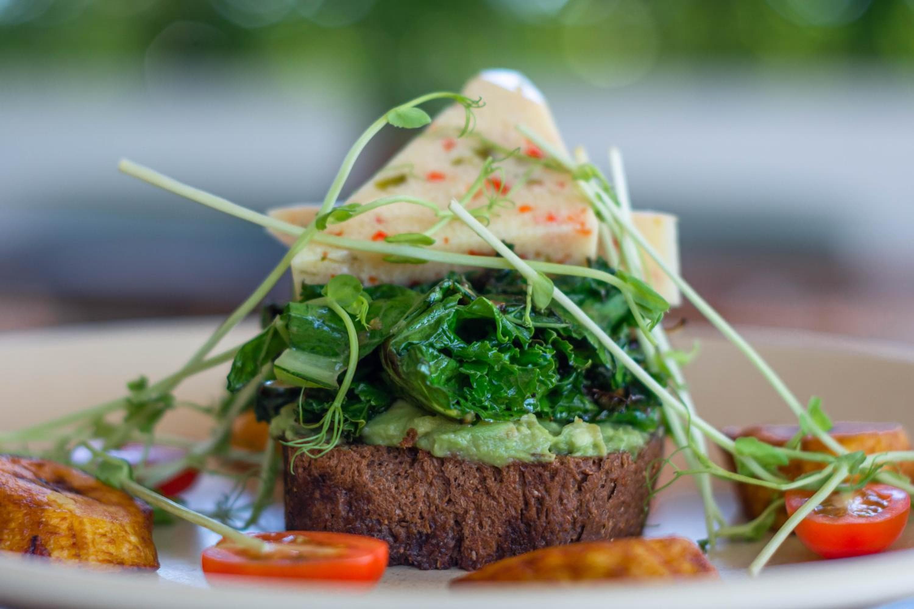Casa Agape Hotel Tulum y restaurante vegano con acceso al club de playa — 26