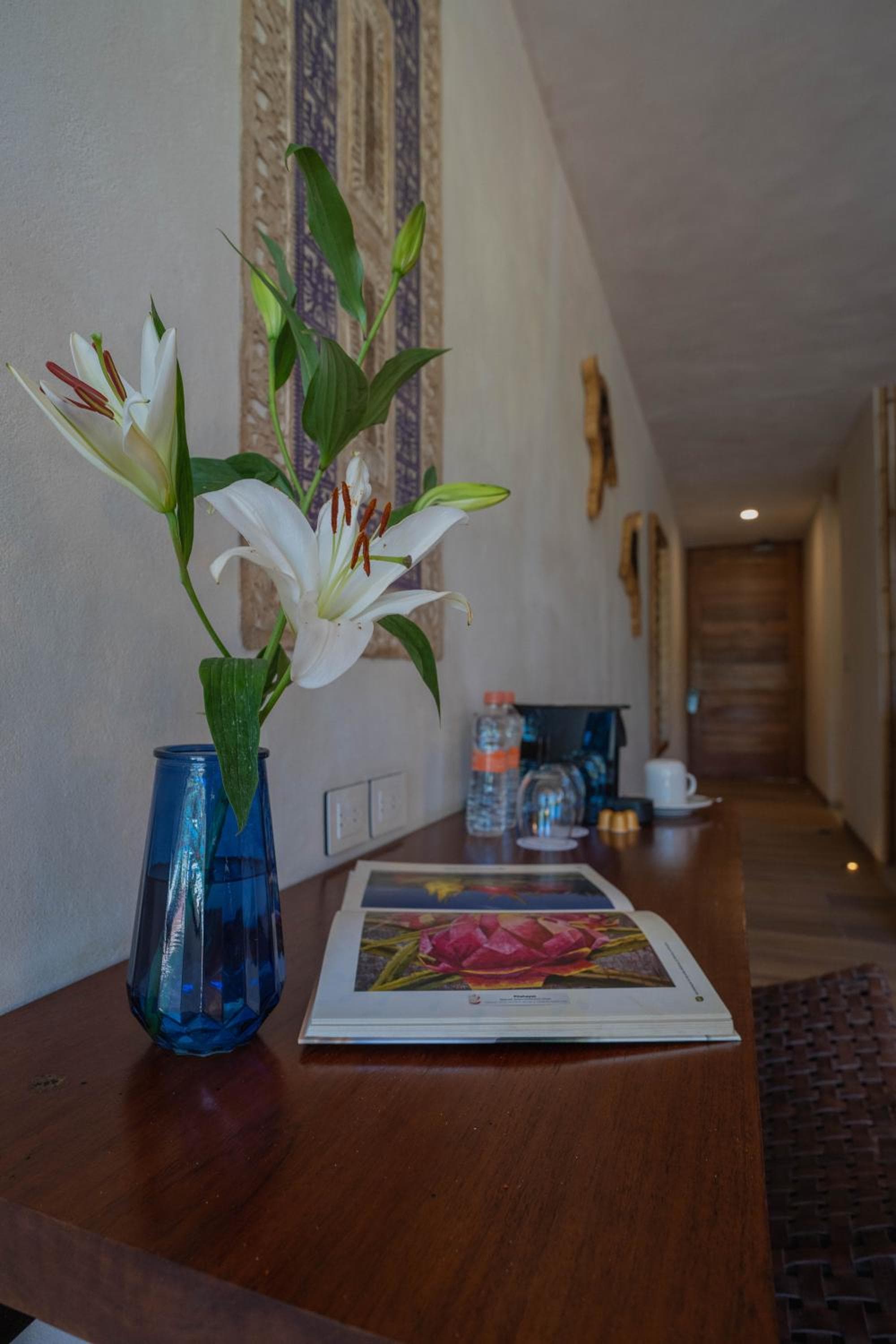 Le barriere coralline — 10