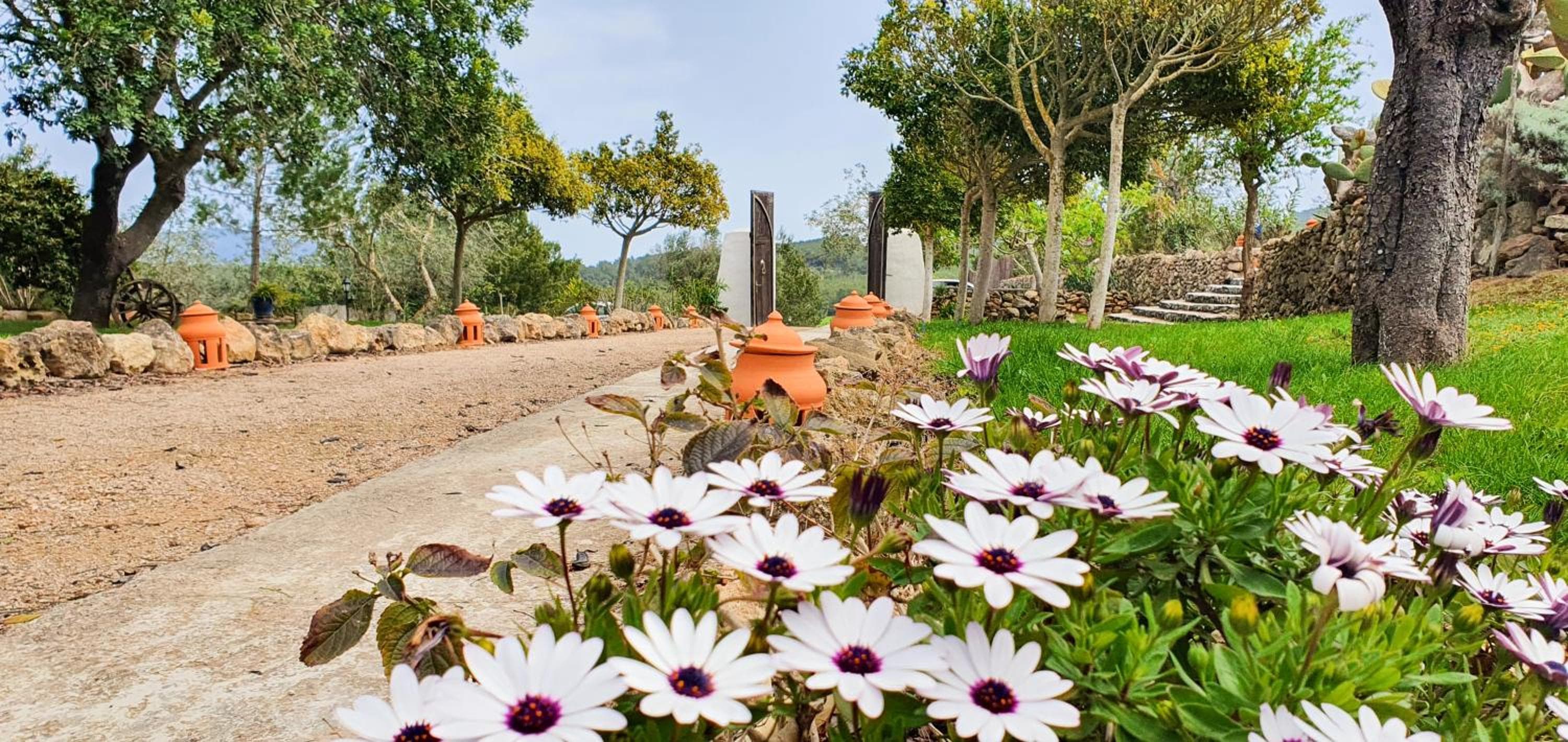 Agroturismo Can Marquet - Sólo Adultos — 27