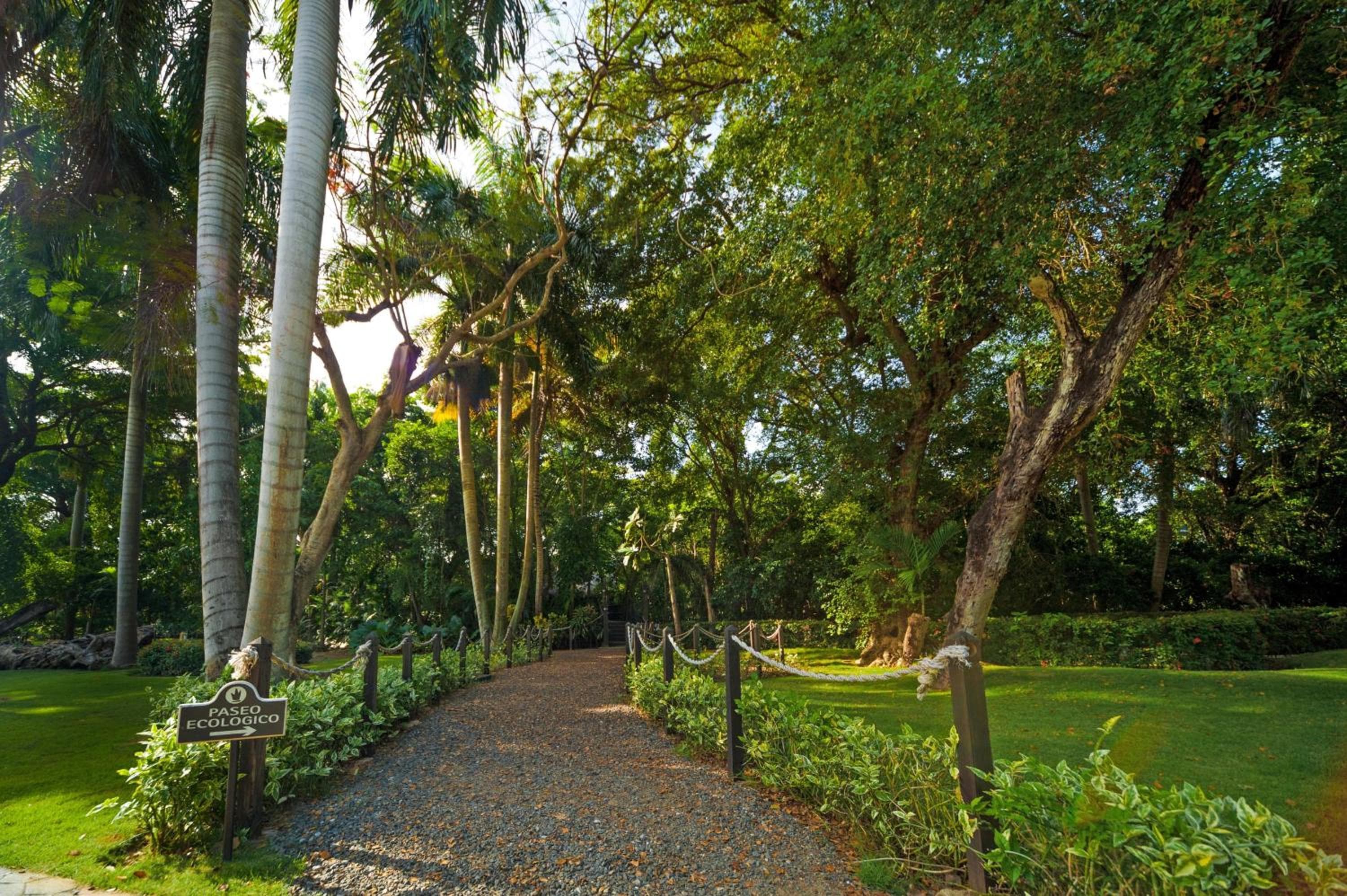 Grand Bávaro Princess - Todo Incluido — 13