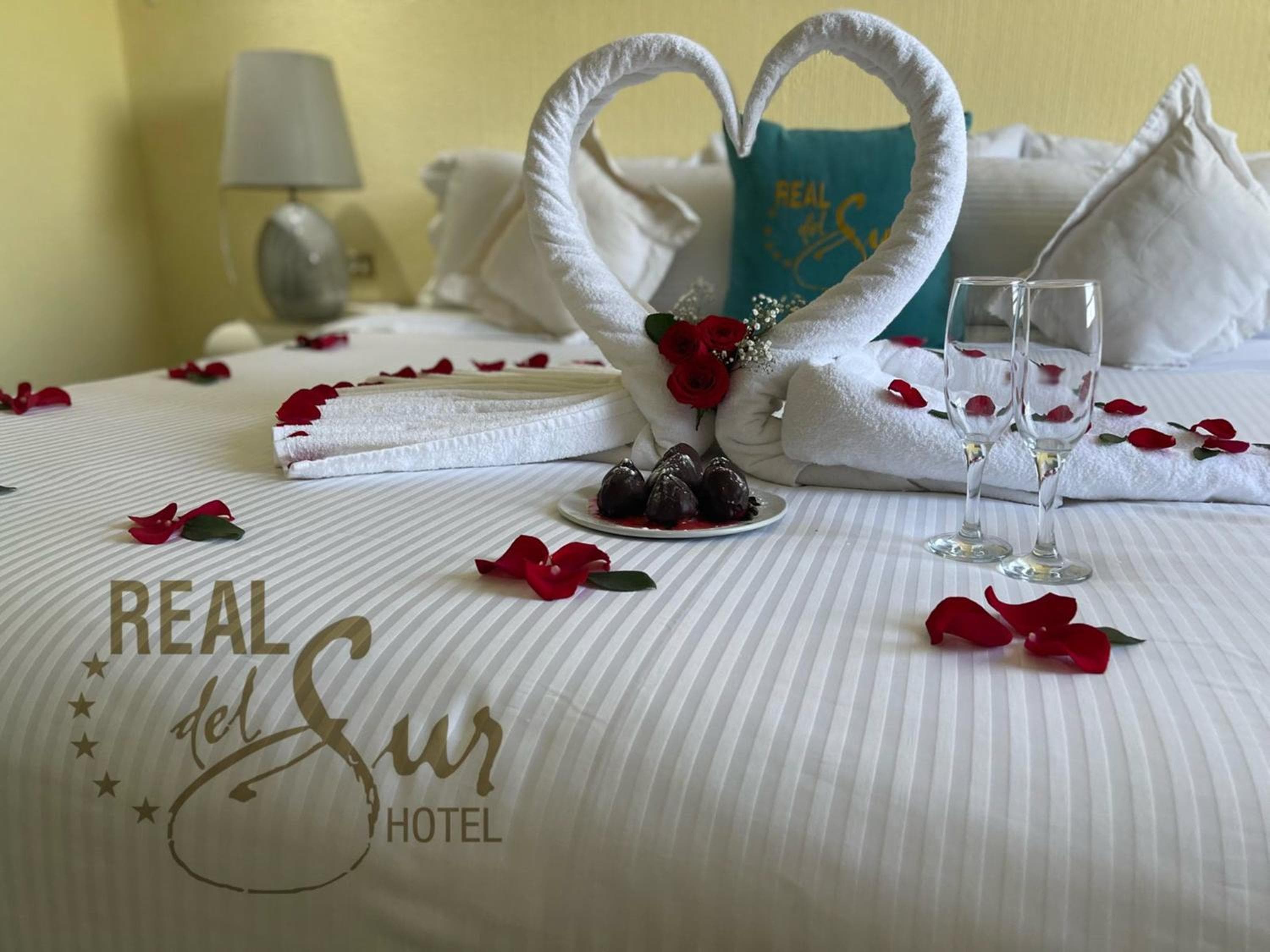 Hotel Real del Sur — 5