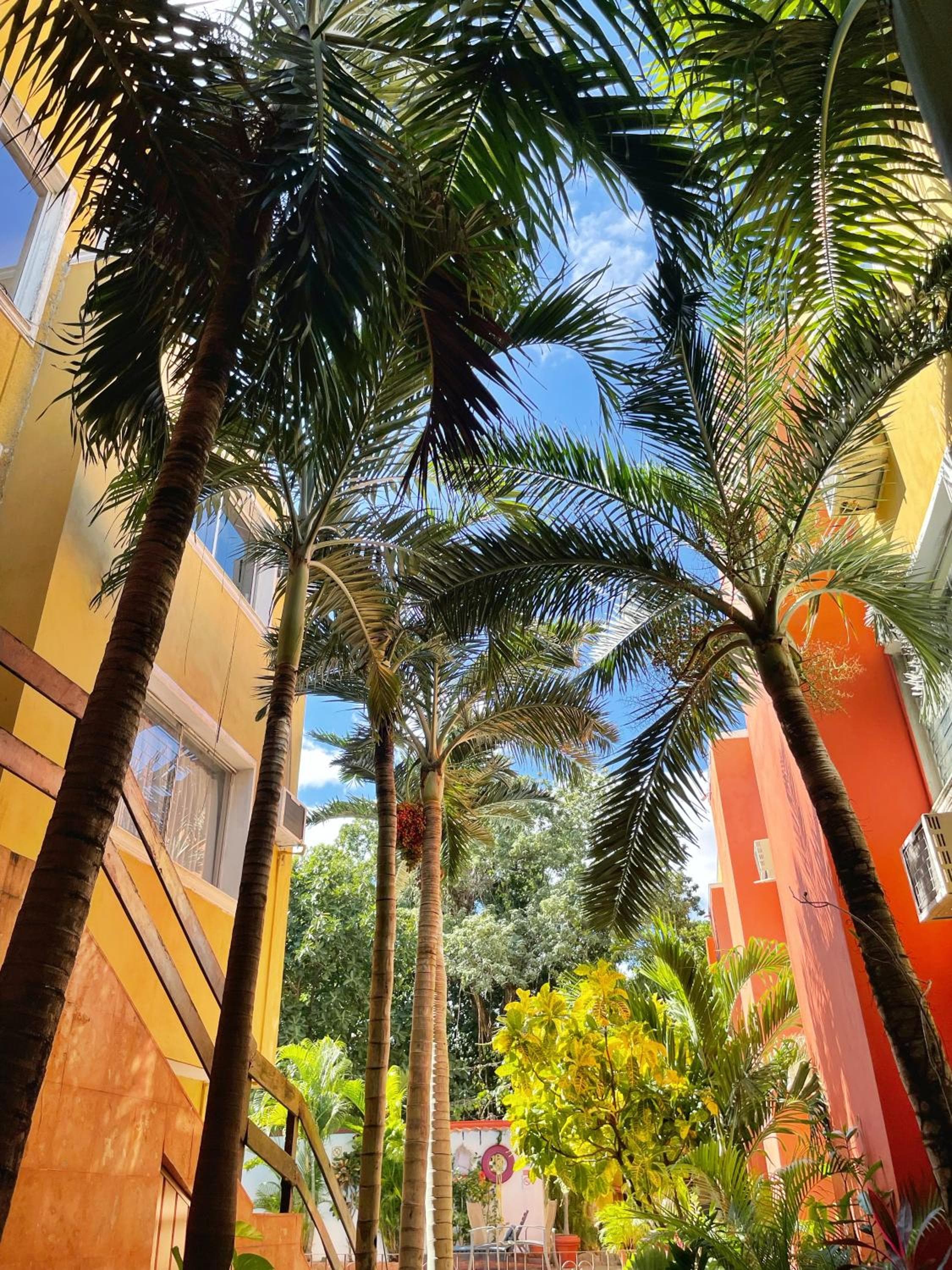 Suites Cancún Centro — 29