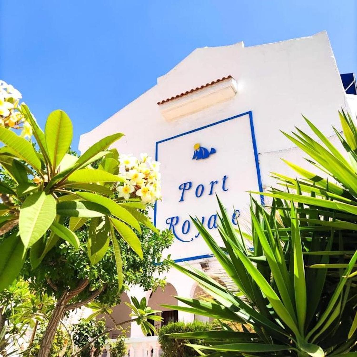 91 Port Royale Los Cristianos — 1