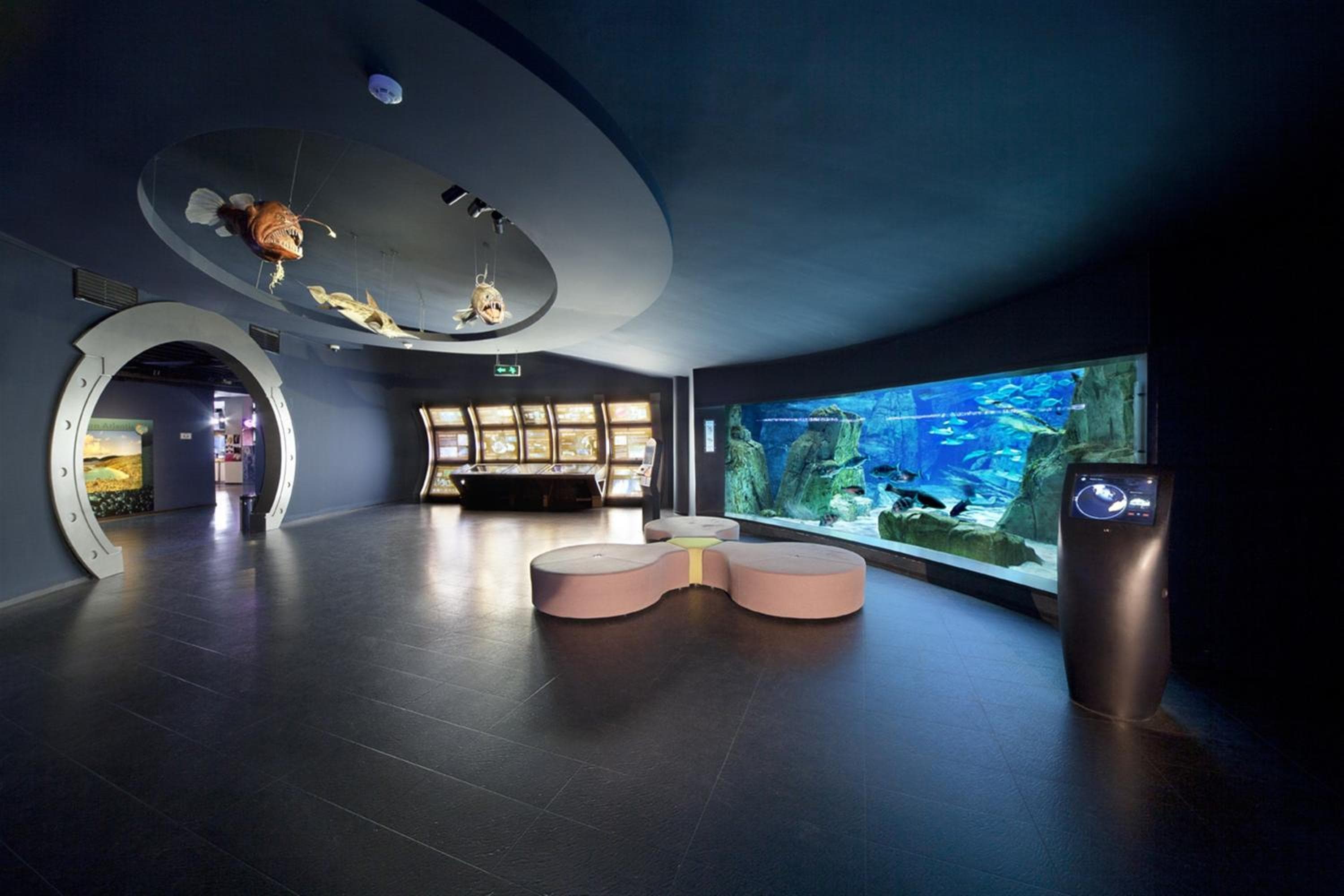 Crowne Plaza Florya Istanbul by IHG hotel, Senlikkoy Mah. Yesilkoy Halkali Cad. No:95, Istanbul, Turkey — photo 152