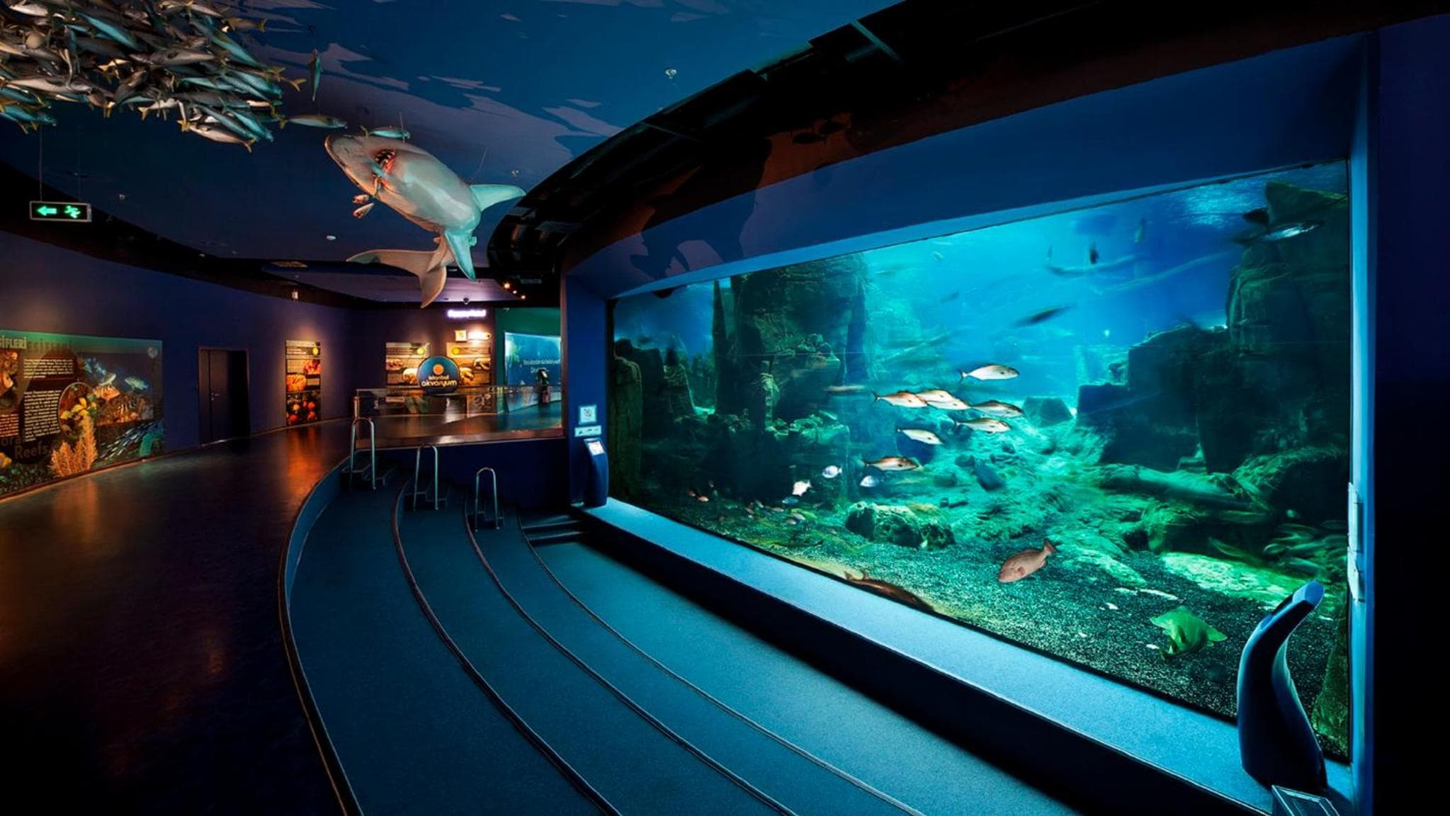 Crowne Plaza Florya Istanbul by IHG hotel, Senlikkoy Mah. Yesilkoy Halkali Cad. No:95, Istanbul, Turkey — photo 153