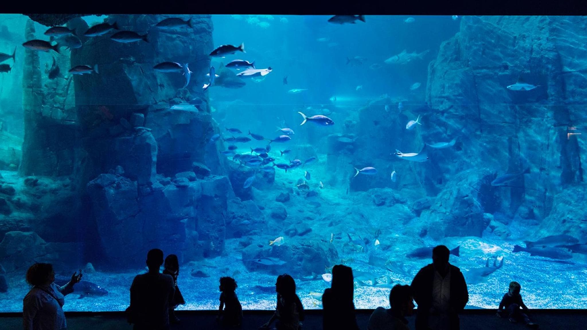 Crowne Plaza Florya Istanbul by IHG hotel, Senlikkoy Mah. Yesilkoy Halkali Cad. No:95, Istanbul, Turkey — photo 151