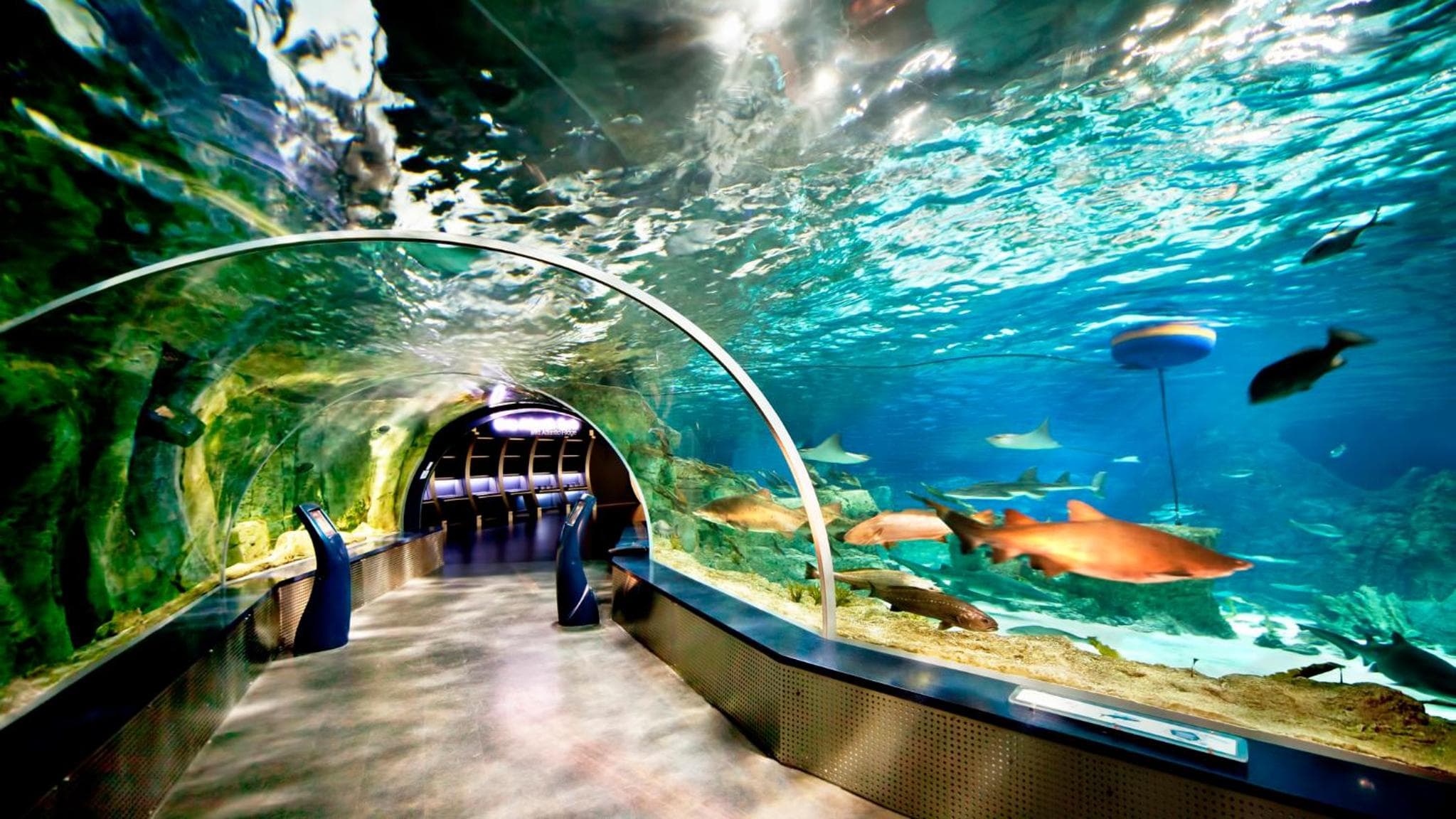 Crowne Plaza Florya Istanbul by IHG hotel, Senlikkoy Mah. Yesilkoy Halkali Cad. No:95, Istanbul, Turkey — photo 17