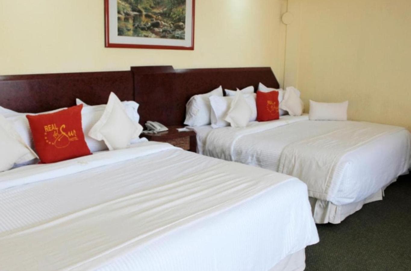 Hotel Real del Sur — 22