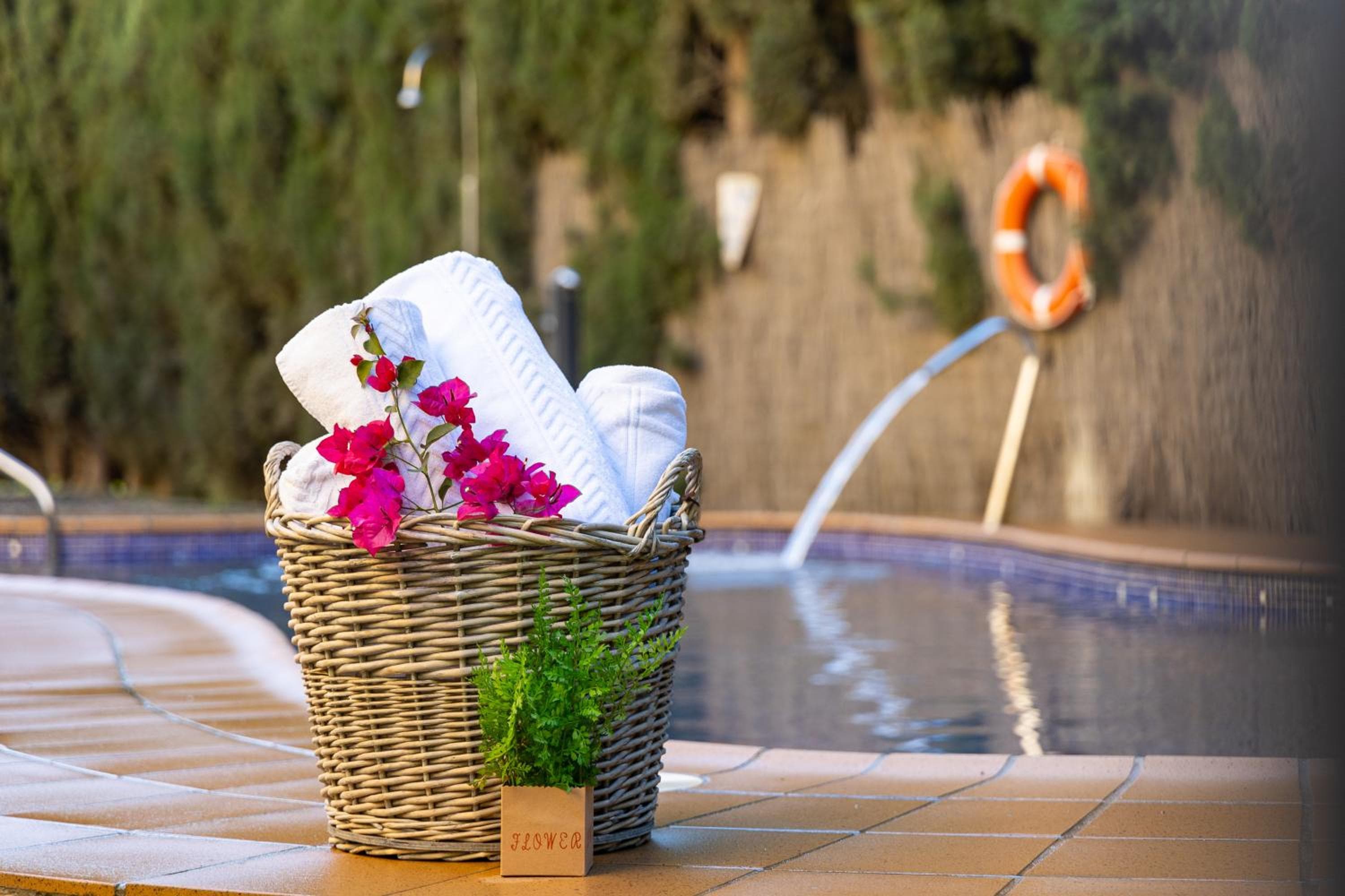 Hotel Plaza Del Castillo — 9