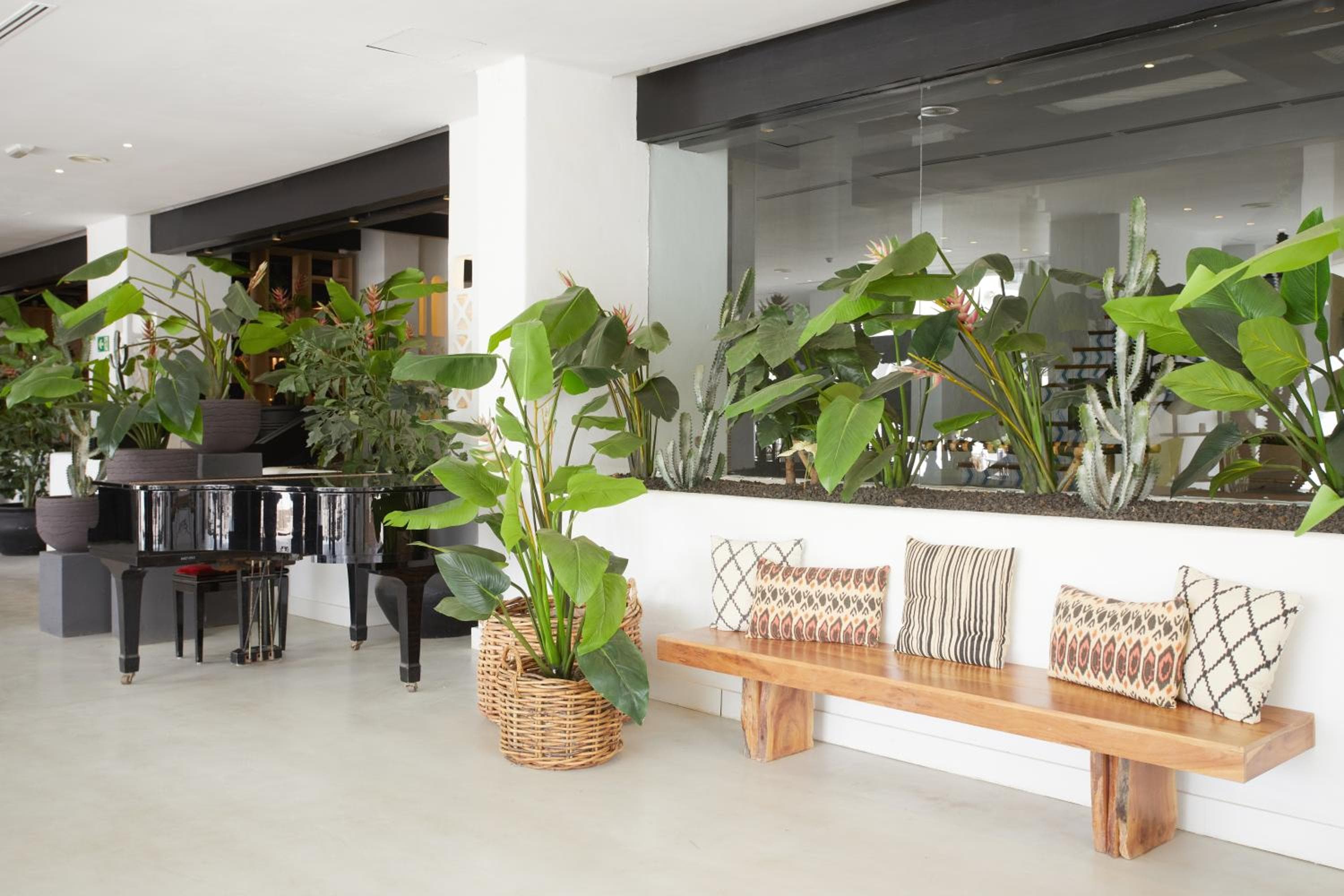 Hyatt Ziva Jardín Tropical Tenerife — 25