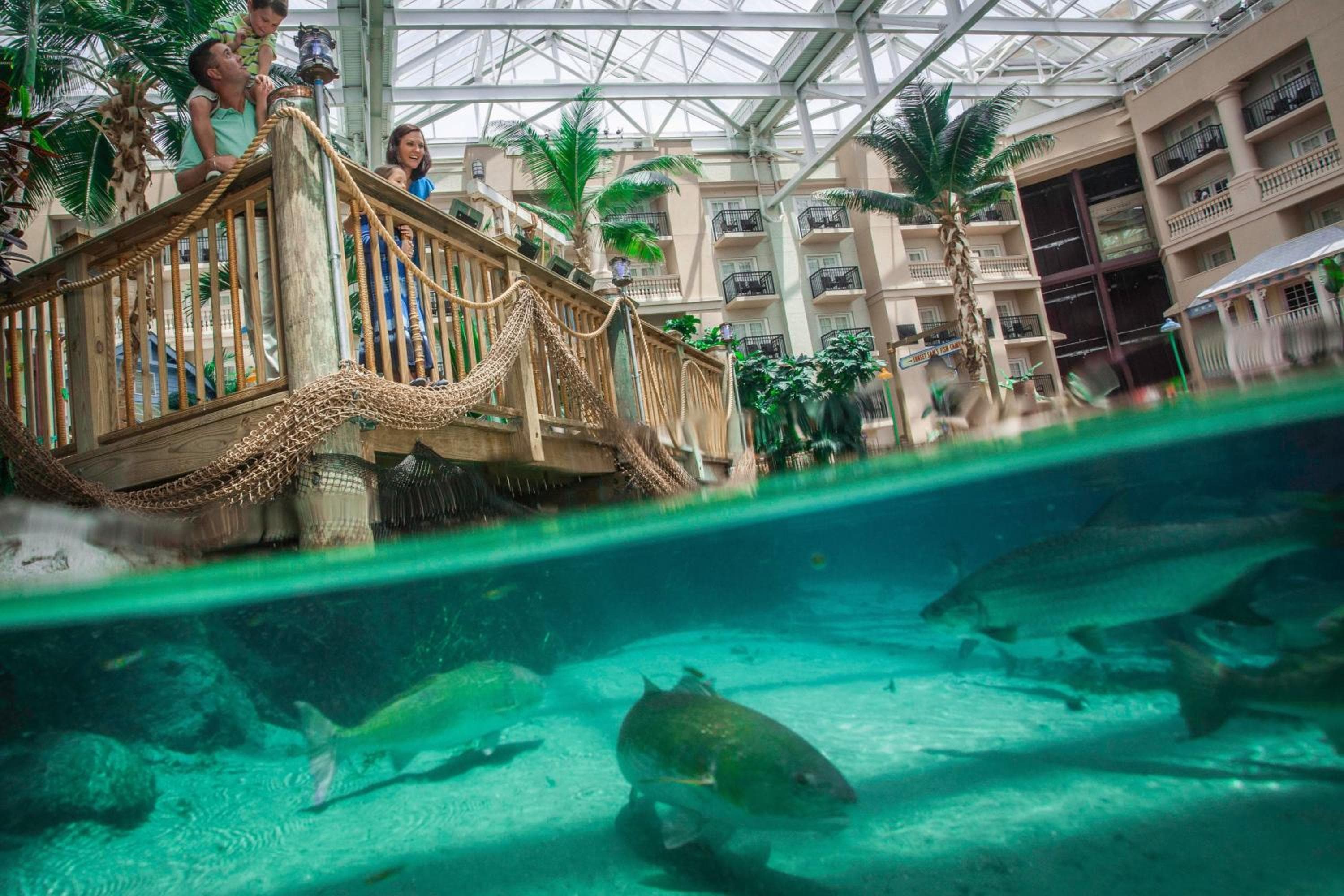Gaylord Palms Resort & Tagungszentrum — 7
