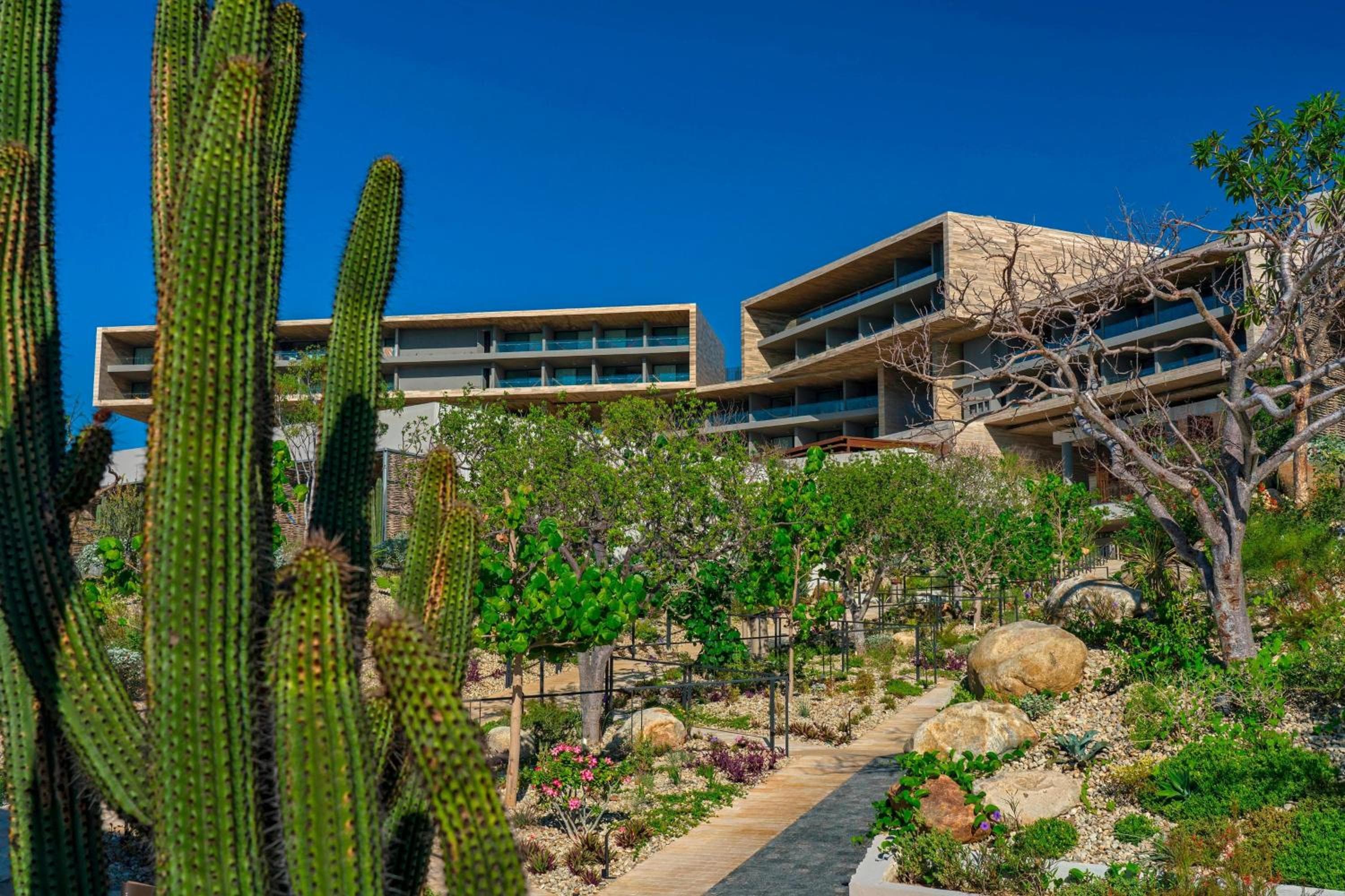 Solaz, a Luxury Collection Resort, Los Cabos — 30