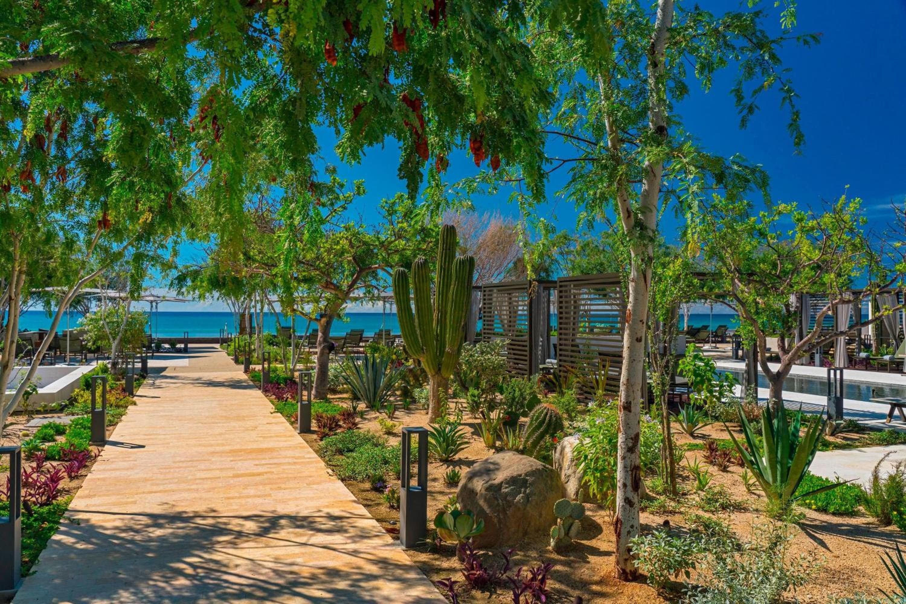 Solaz, a Luxury Collection Resort, Los Cabos — 28