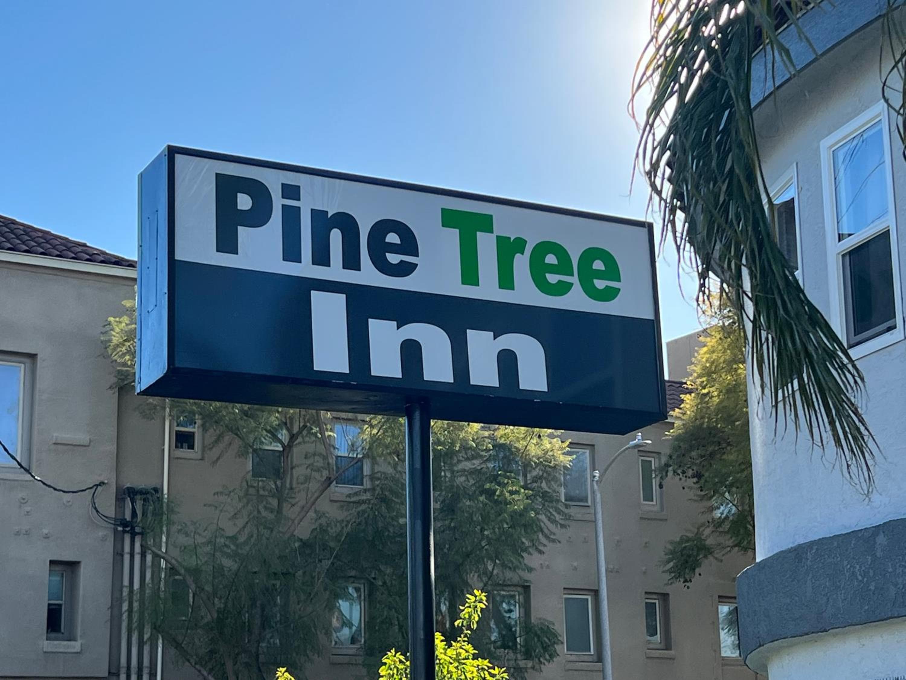 Pine tree inn — 5