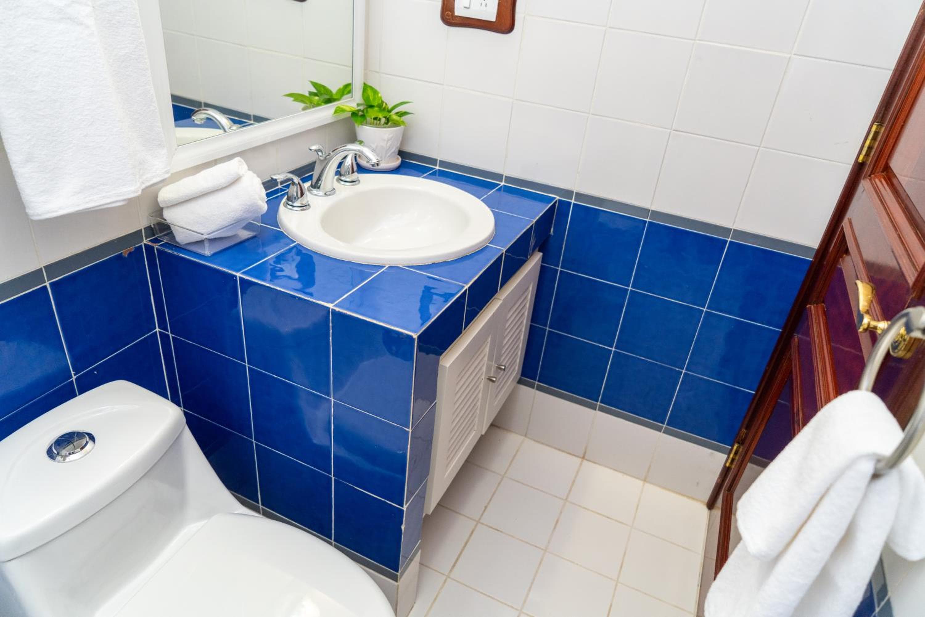 Magnifica Villa Palmeras luxurious 4 Br 6 Bds 4 Ba private pool lagoon front super fast Wifi — 24
