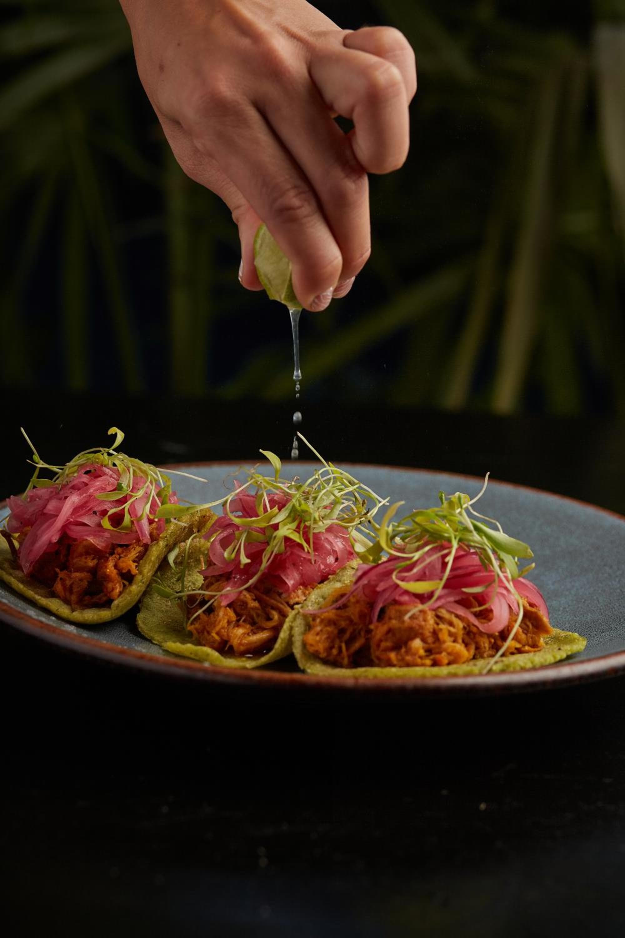 Hotel Bardo - Adults Only hotel, Av La Selva entre Kohunlich Xcaret Y, Tulum, Mexico — photo 44