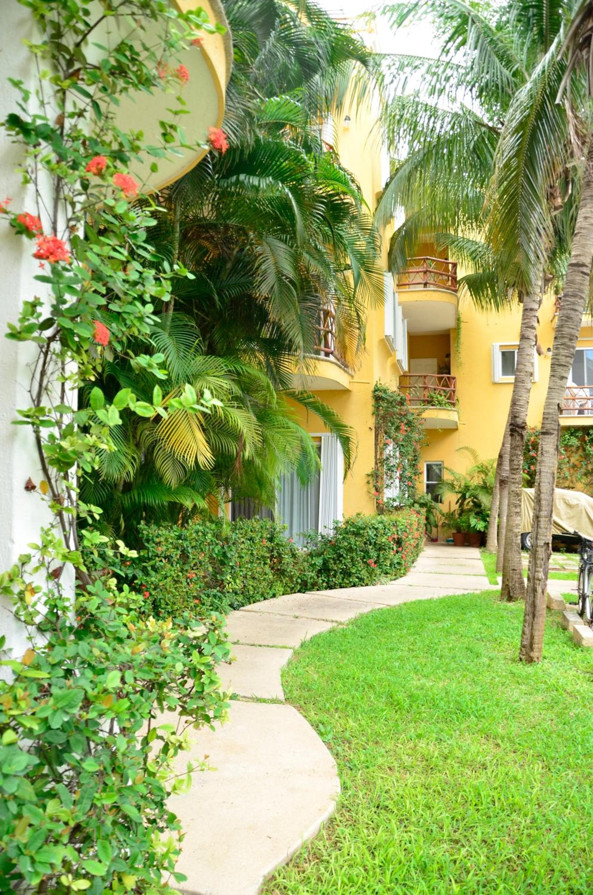 Las Palmas-Palma Xiat & Cocoyol — 3