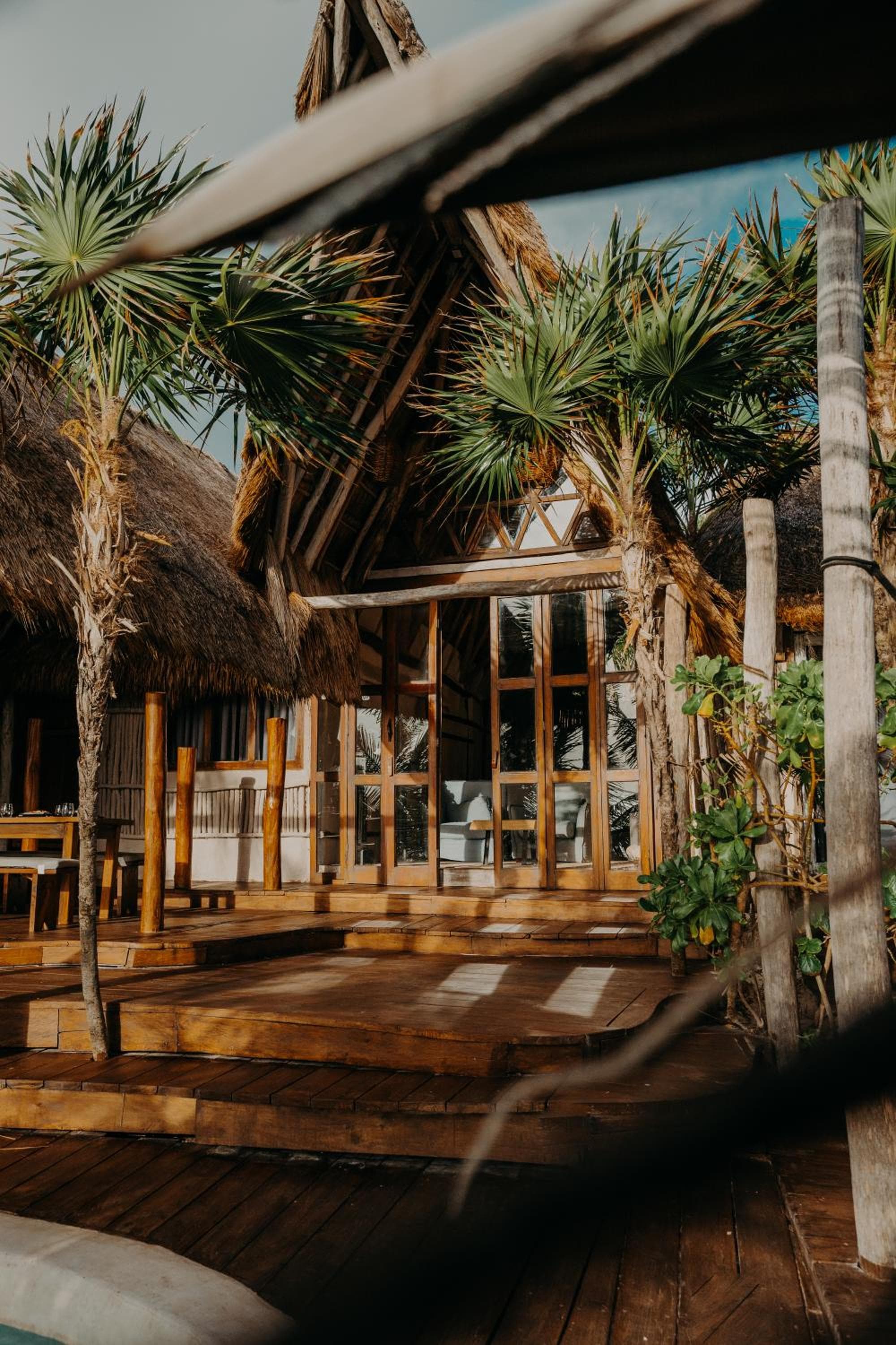 Progetto Papaya Playa — 15