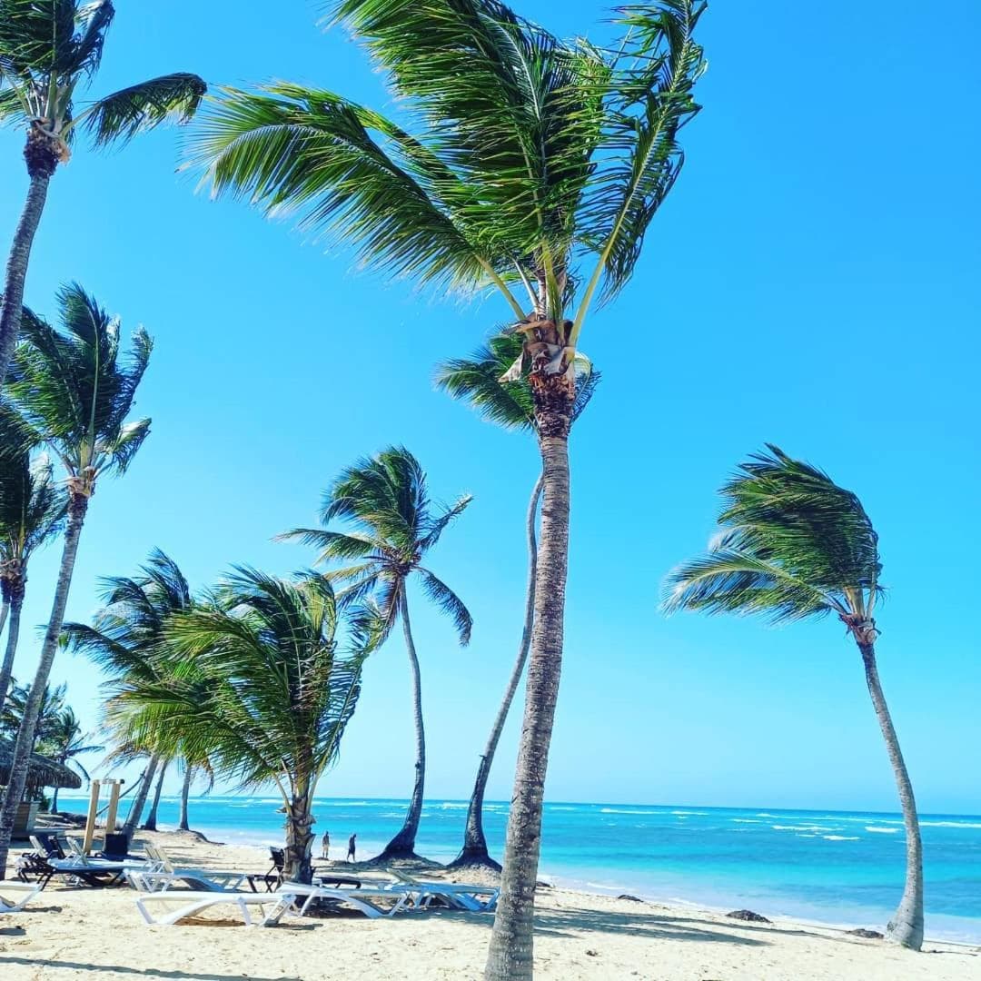 Playa Palmera Beach Resort — 17