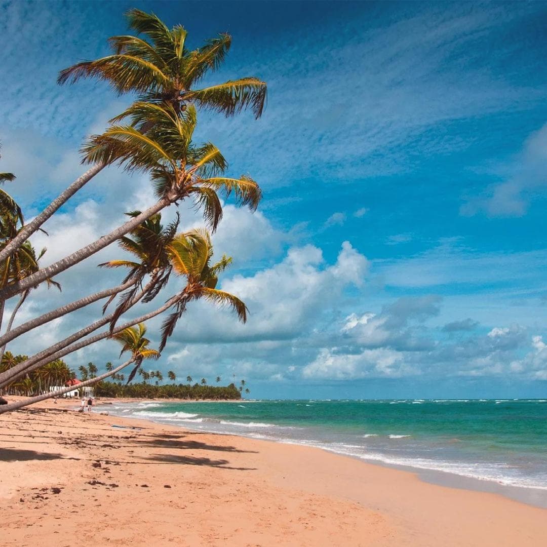 Playa Palmera Beach Resort — 14