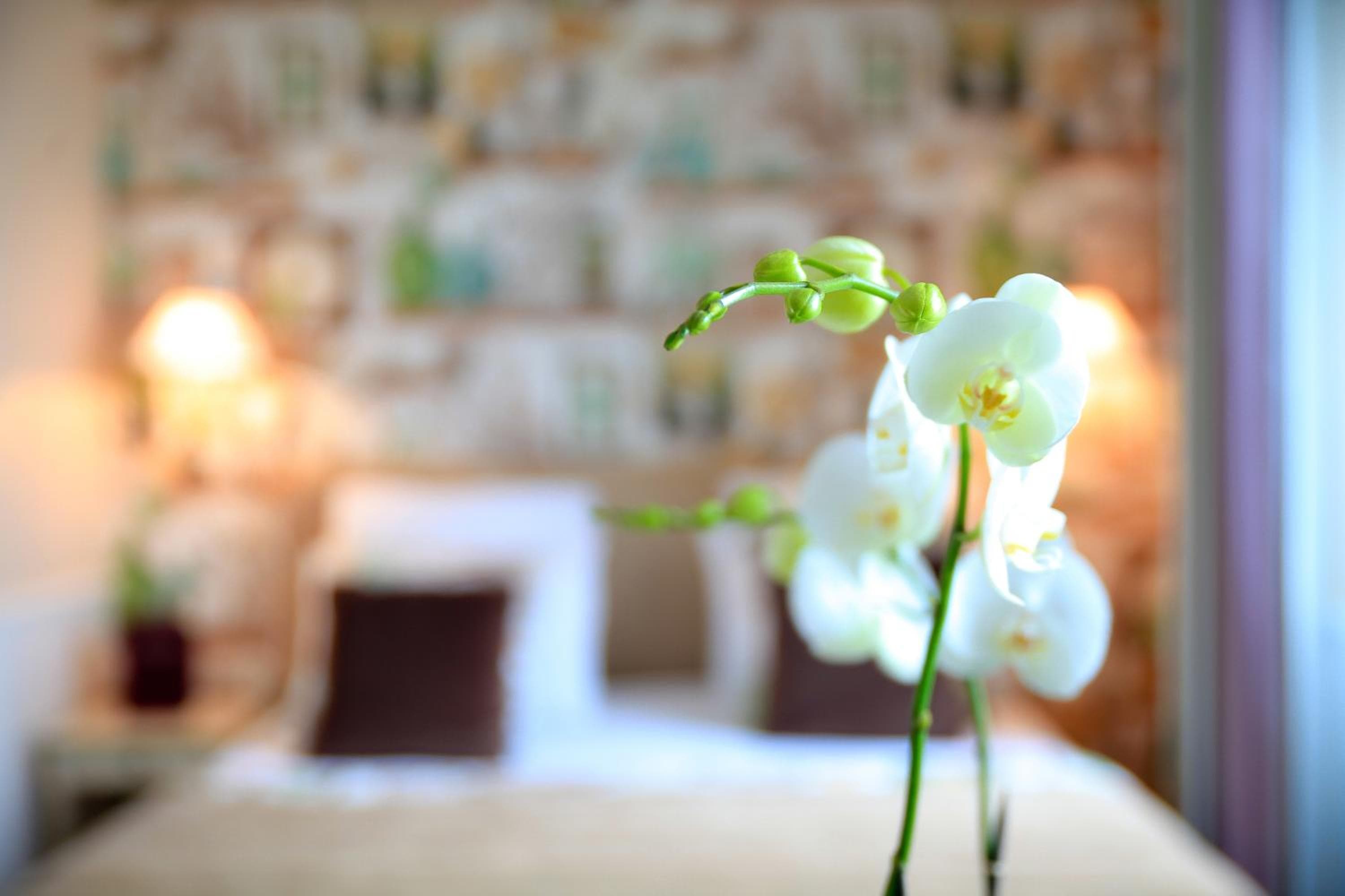Hôtel Relais Saint Jacques Paris — 17