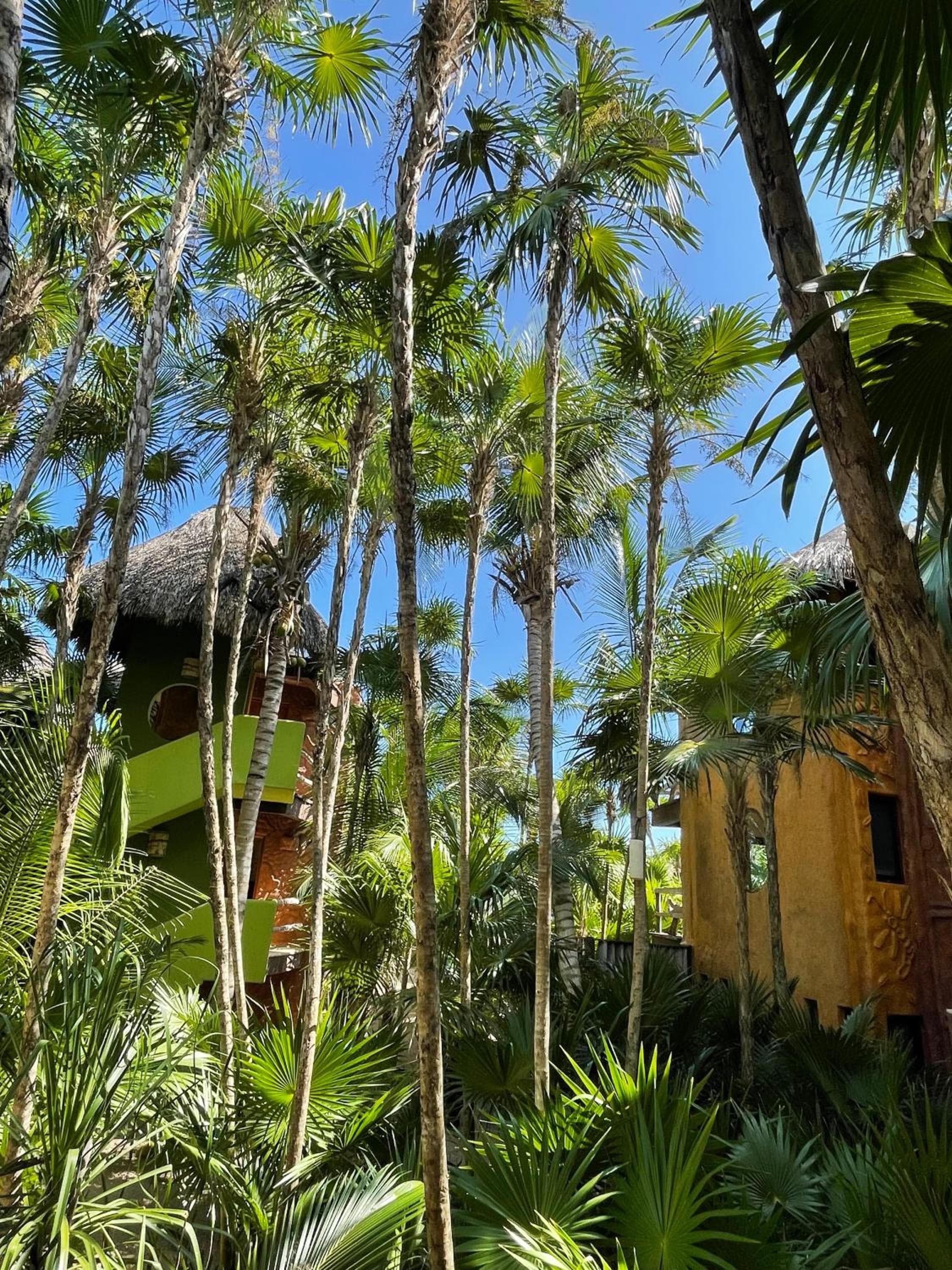 Sueños Tulum — 25