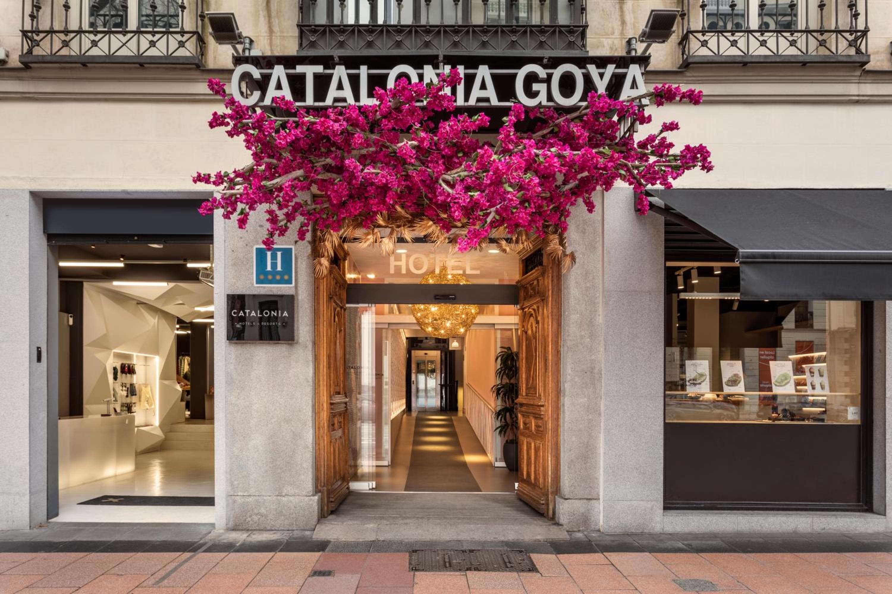 Catalonia Goya — 2