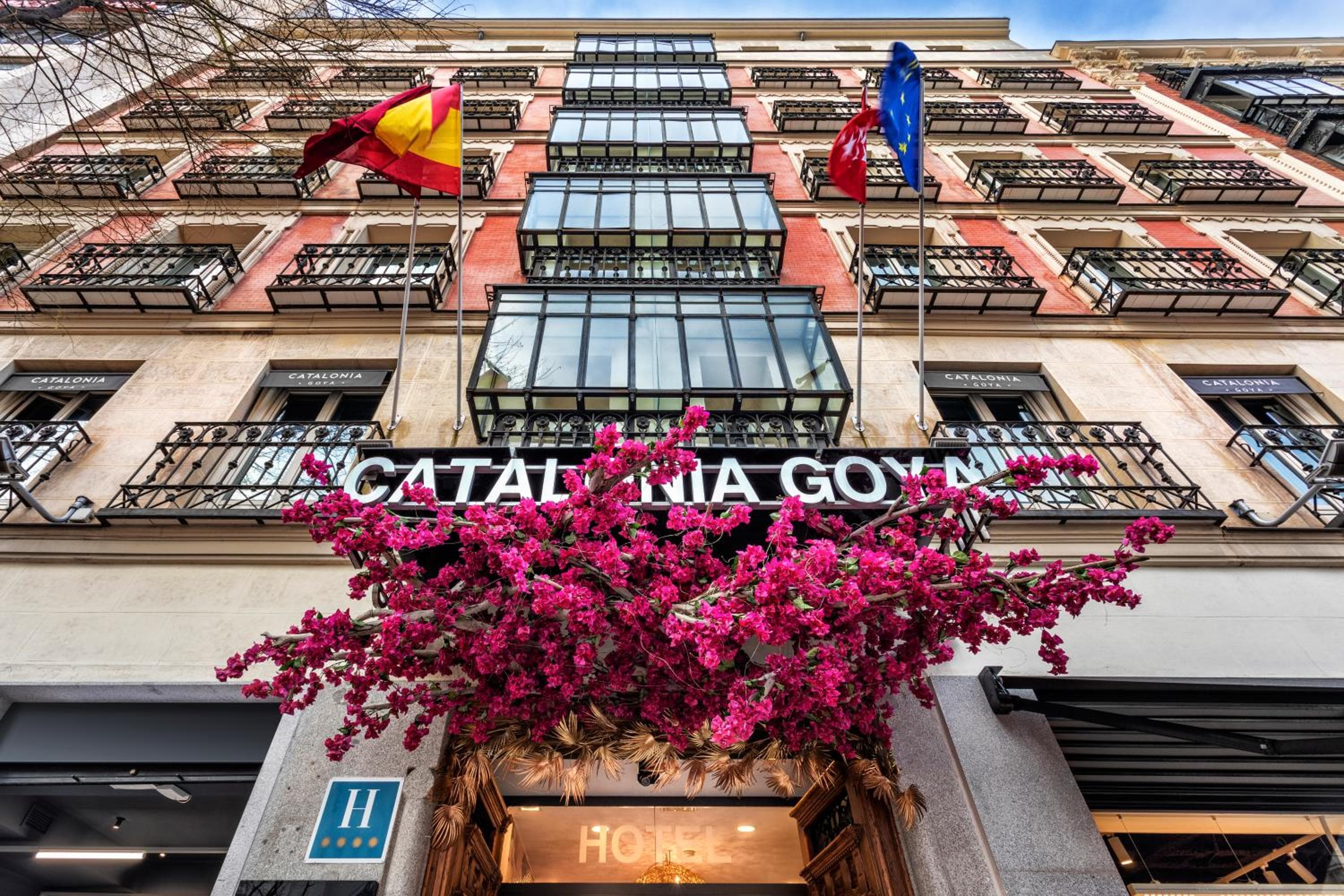 Catalonia Goya — 24