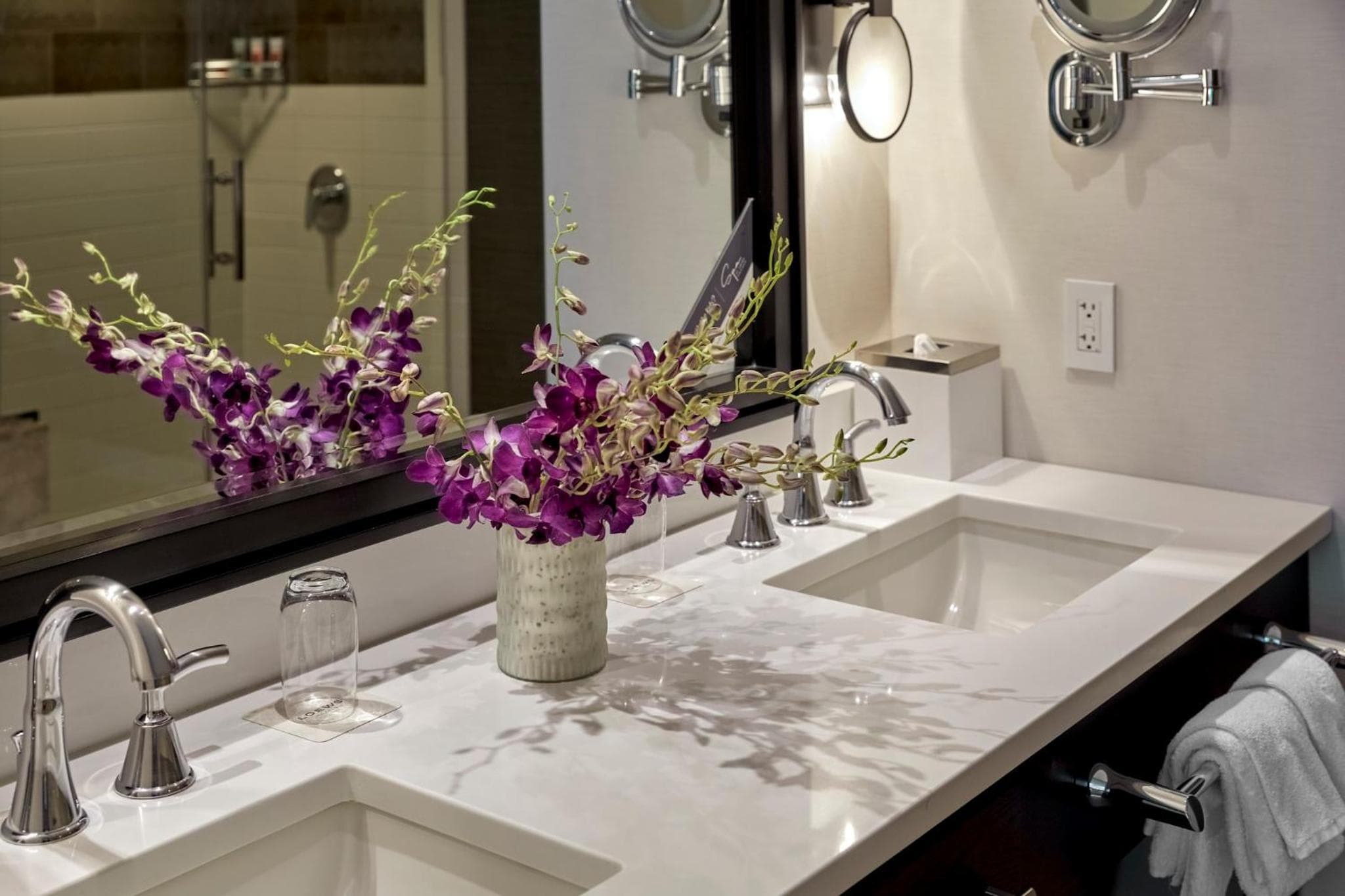 Loews Chicago Hotel hotel, 455 North Park Drive, Chicago, United States — photo 52