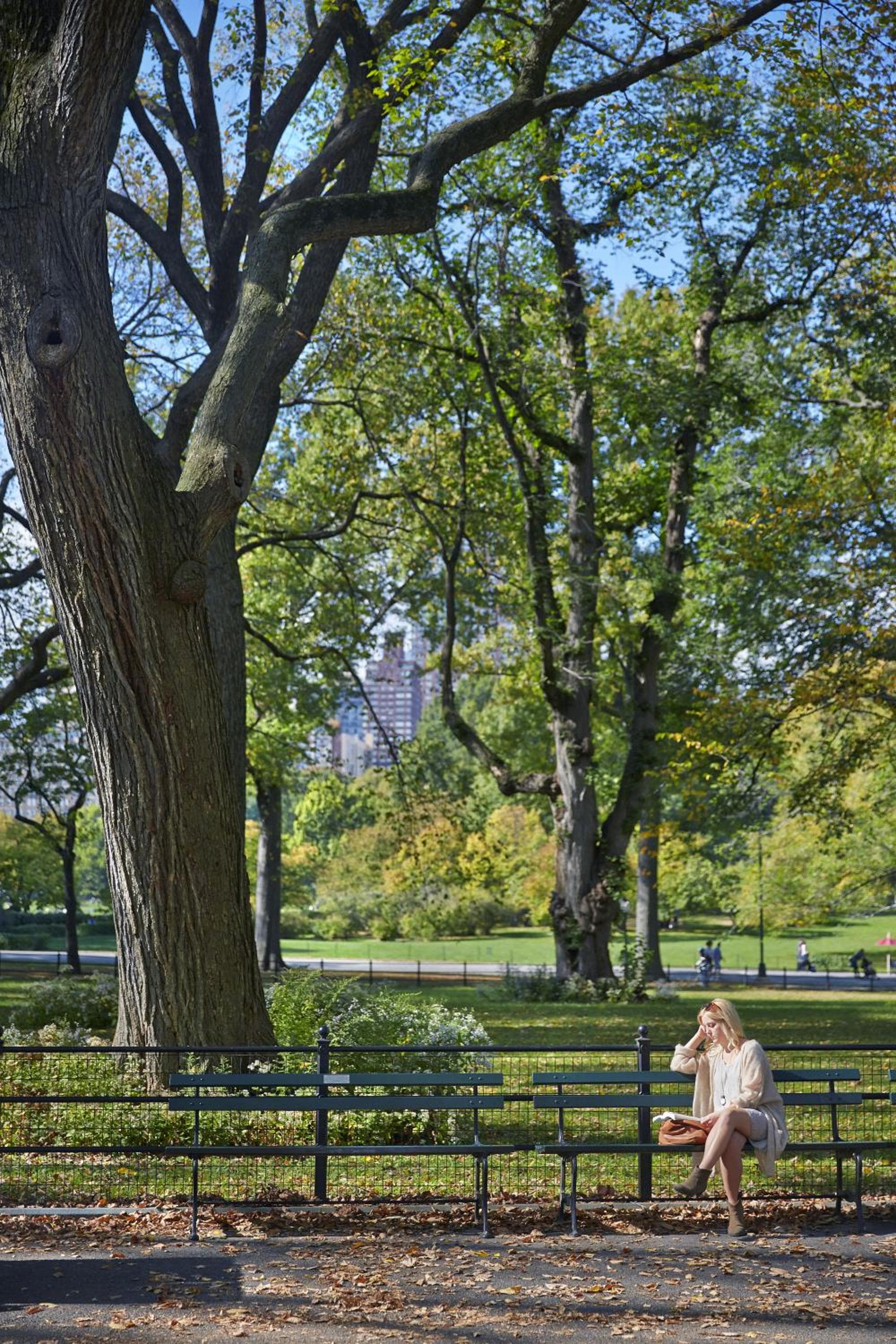 The Gardens Sonesta ES Suites New York — 7