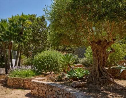 Cala Vadella — 11