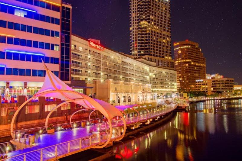 Tropical Casita in Tampa near airport and Raymond James stadium — 7