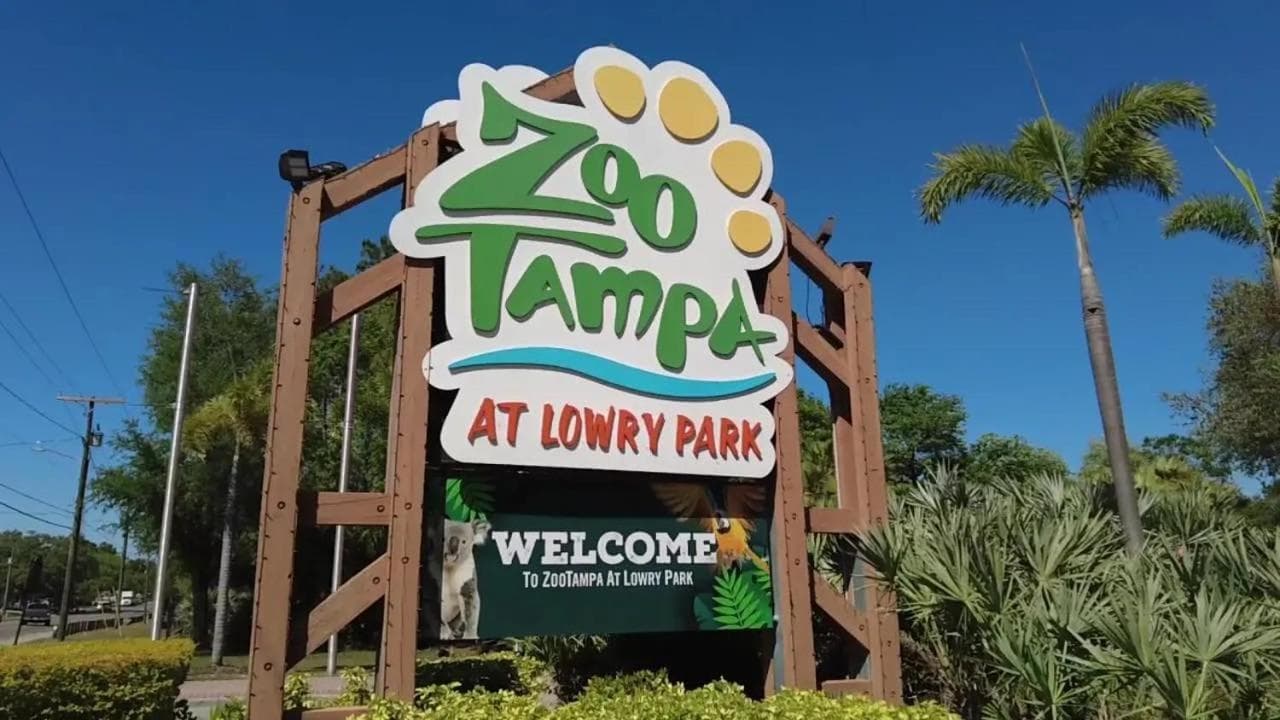 Tropical Casita in Tampa near airport and Raymond James stadium — 8