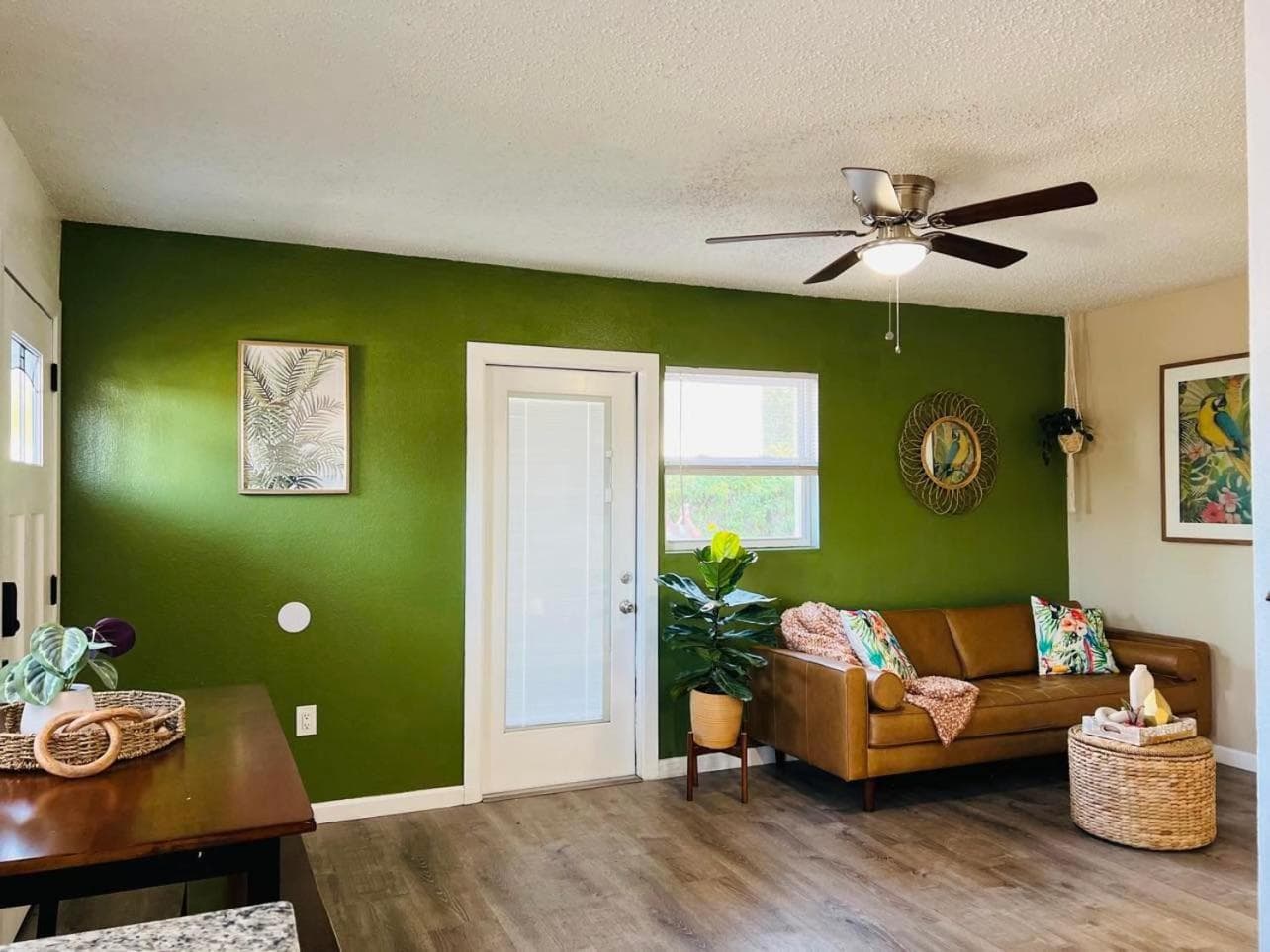 Tropical Casita in Tampa near airport and Raymond James stadium — 18