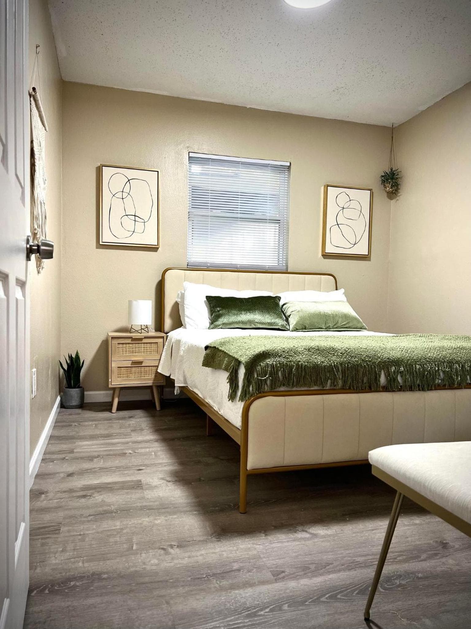Tropical Casita in Tampa near airport and Raymond James stadium — 24