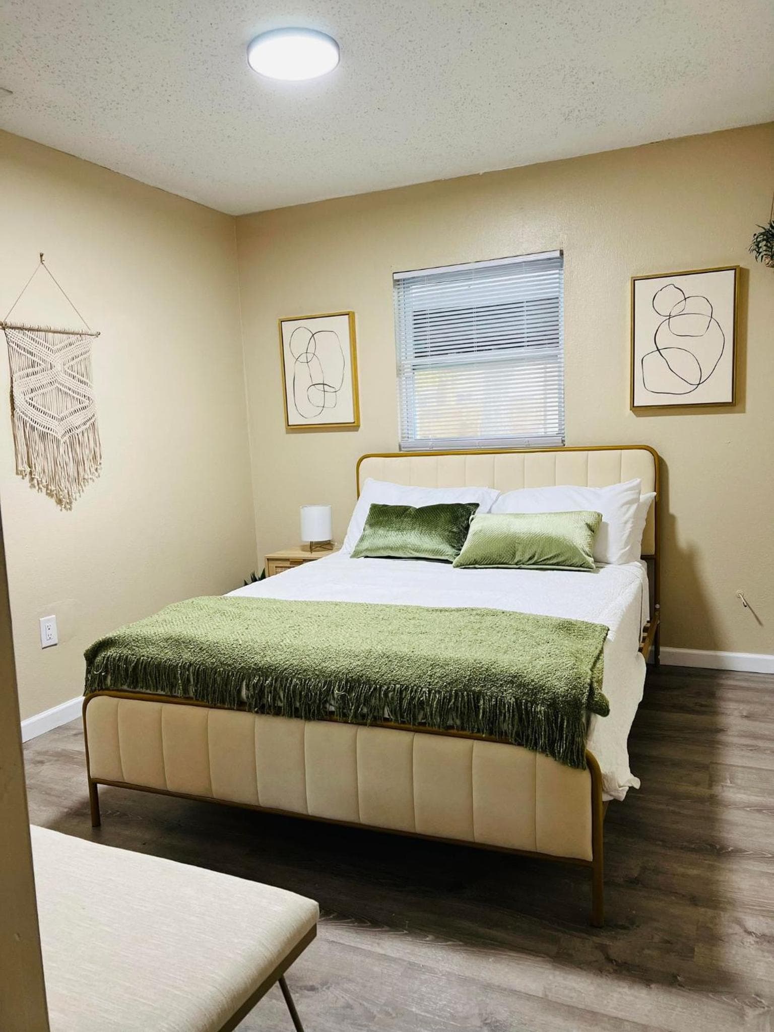 Tropical Casita in Tampa near airport and Raymond James stadium — 20
