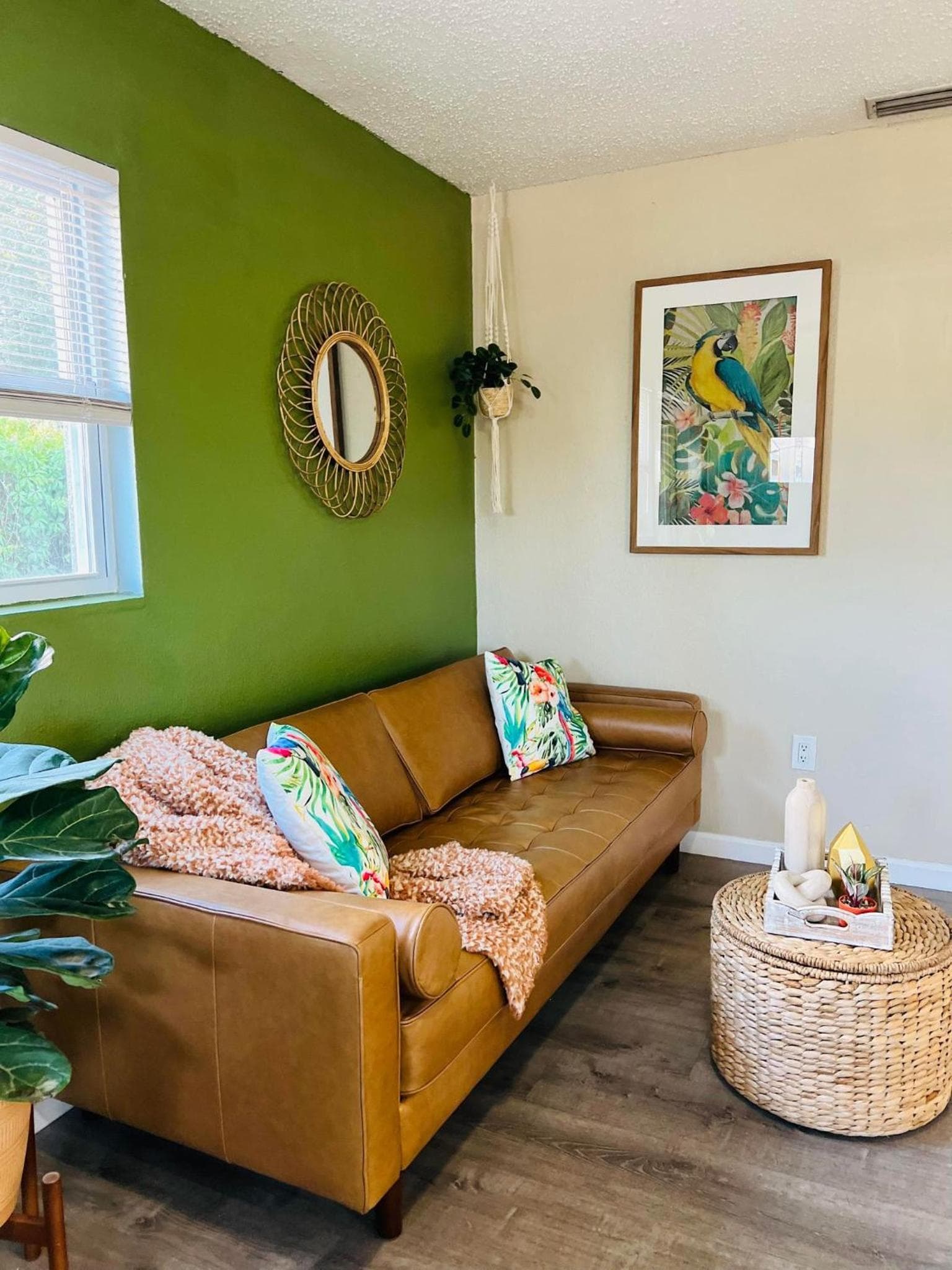 Tropical Casita in Tampa near airport and Raymond James stadium — 22