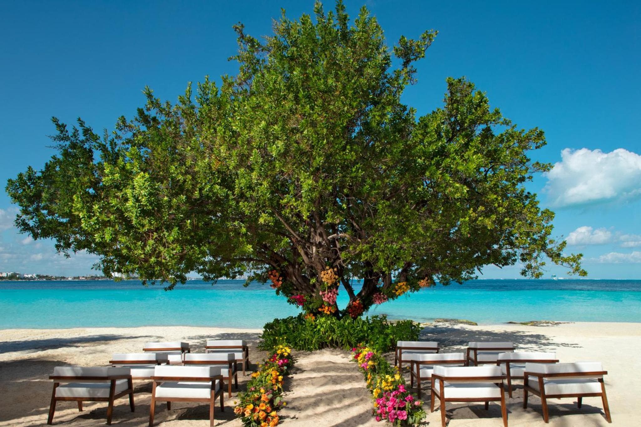 Dreams Sands Cancun Resort & Spa — 24