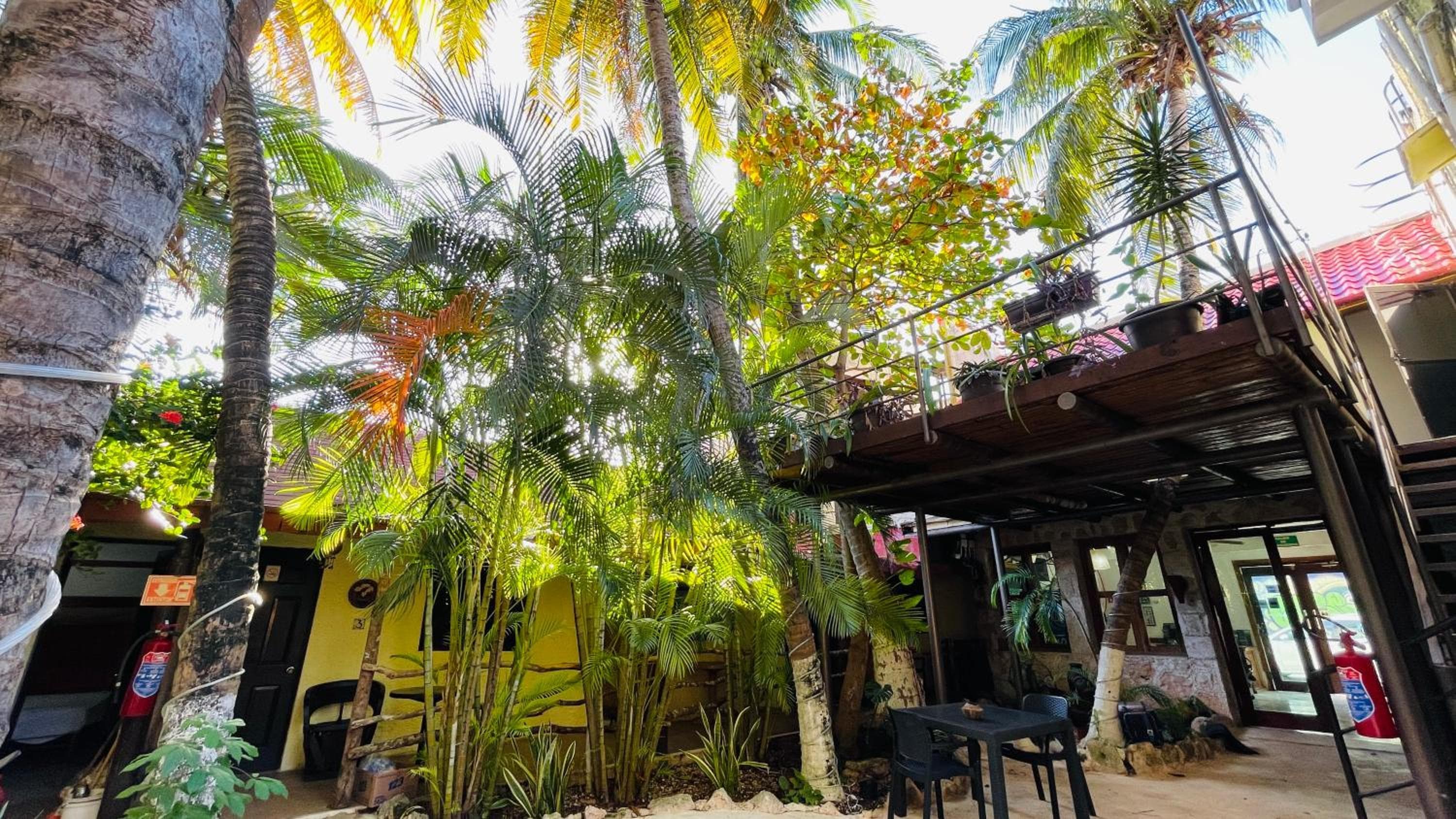 Hotel B&B - Playa del carmen — 30