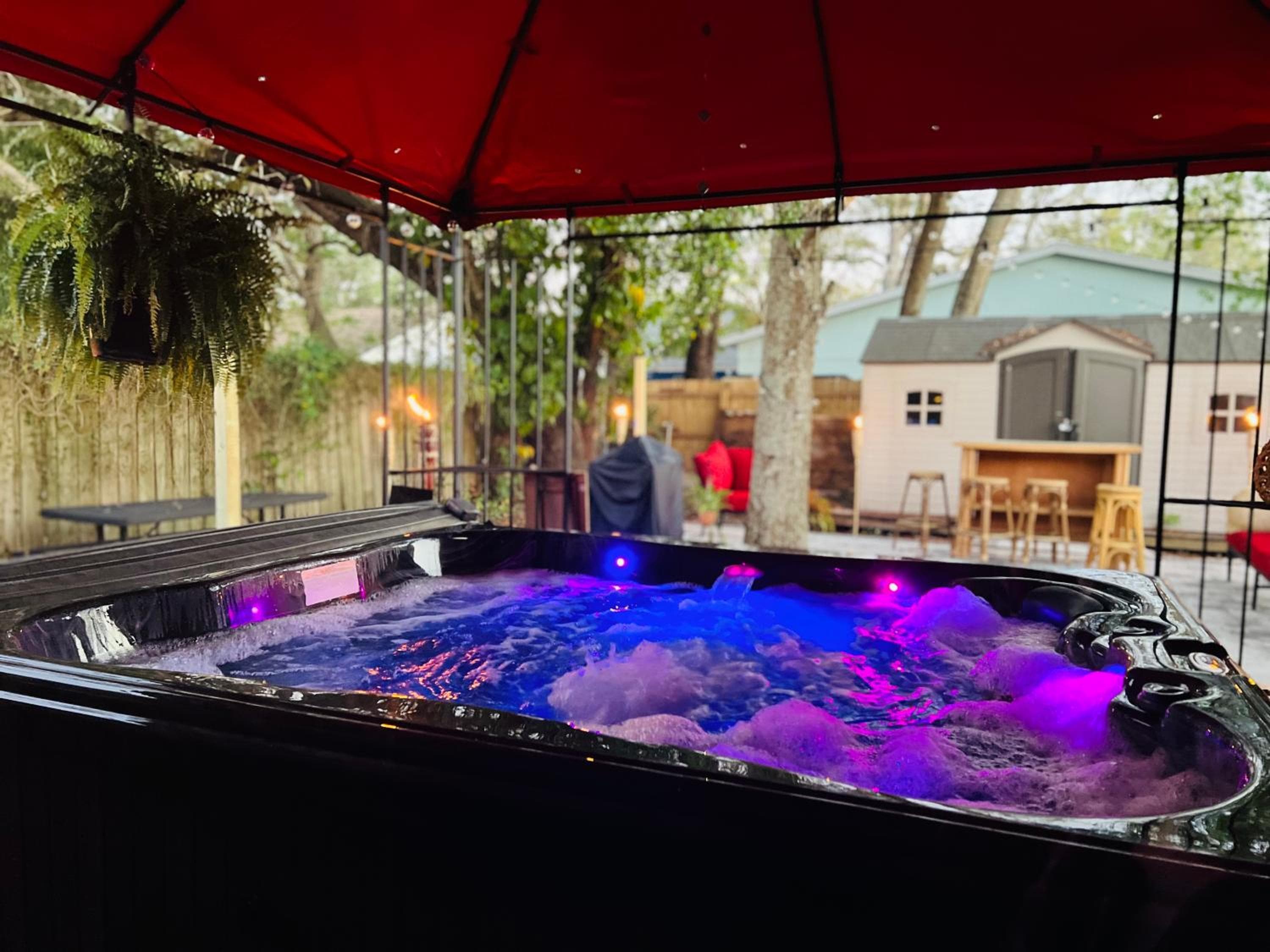 Tropical Casita in Tampa near airport and Raymond James stadium — 4
